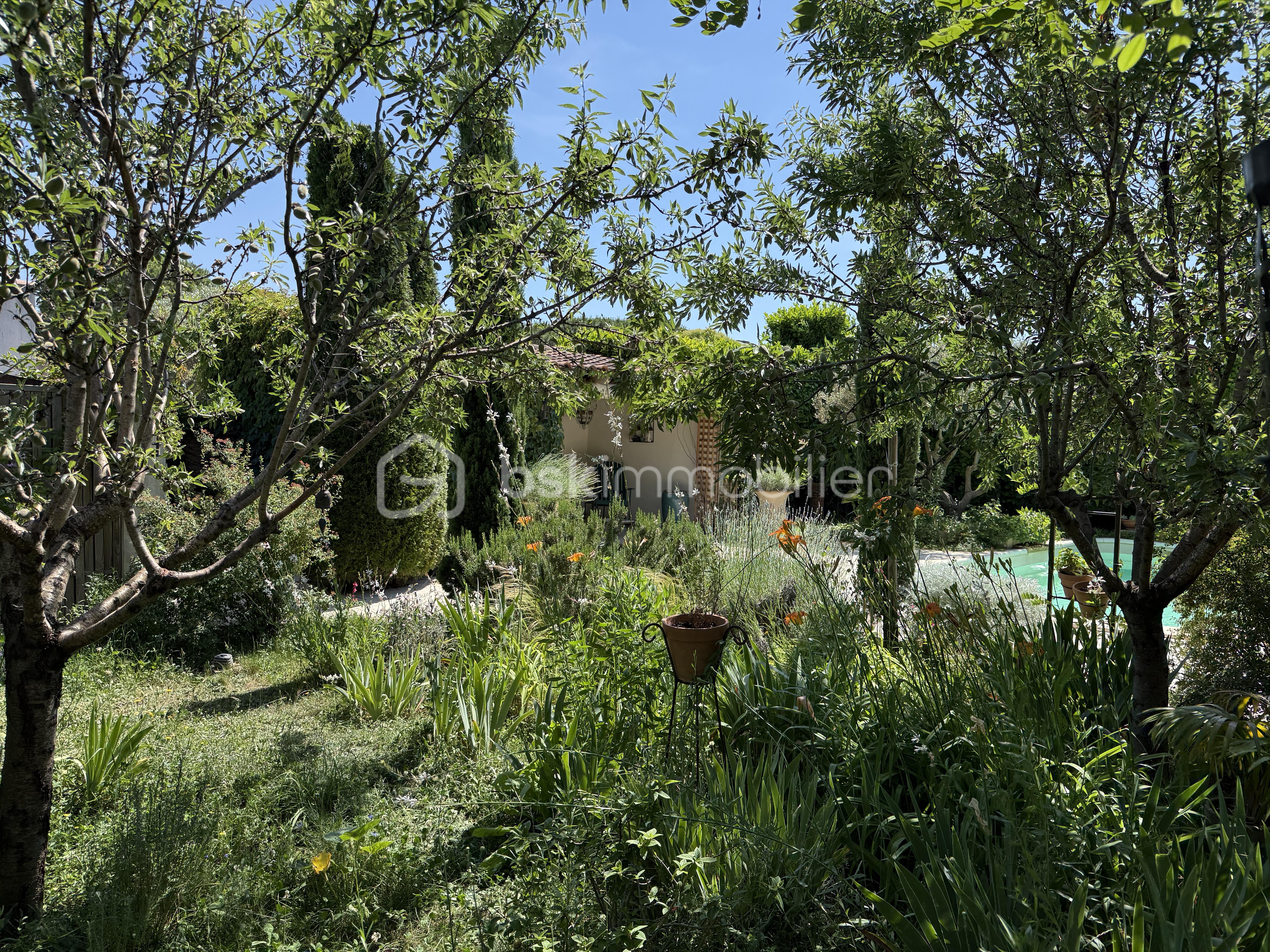 IMG_5195 copie.jpg