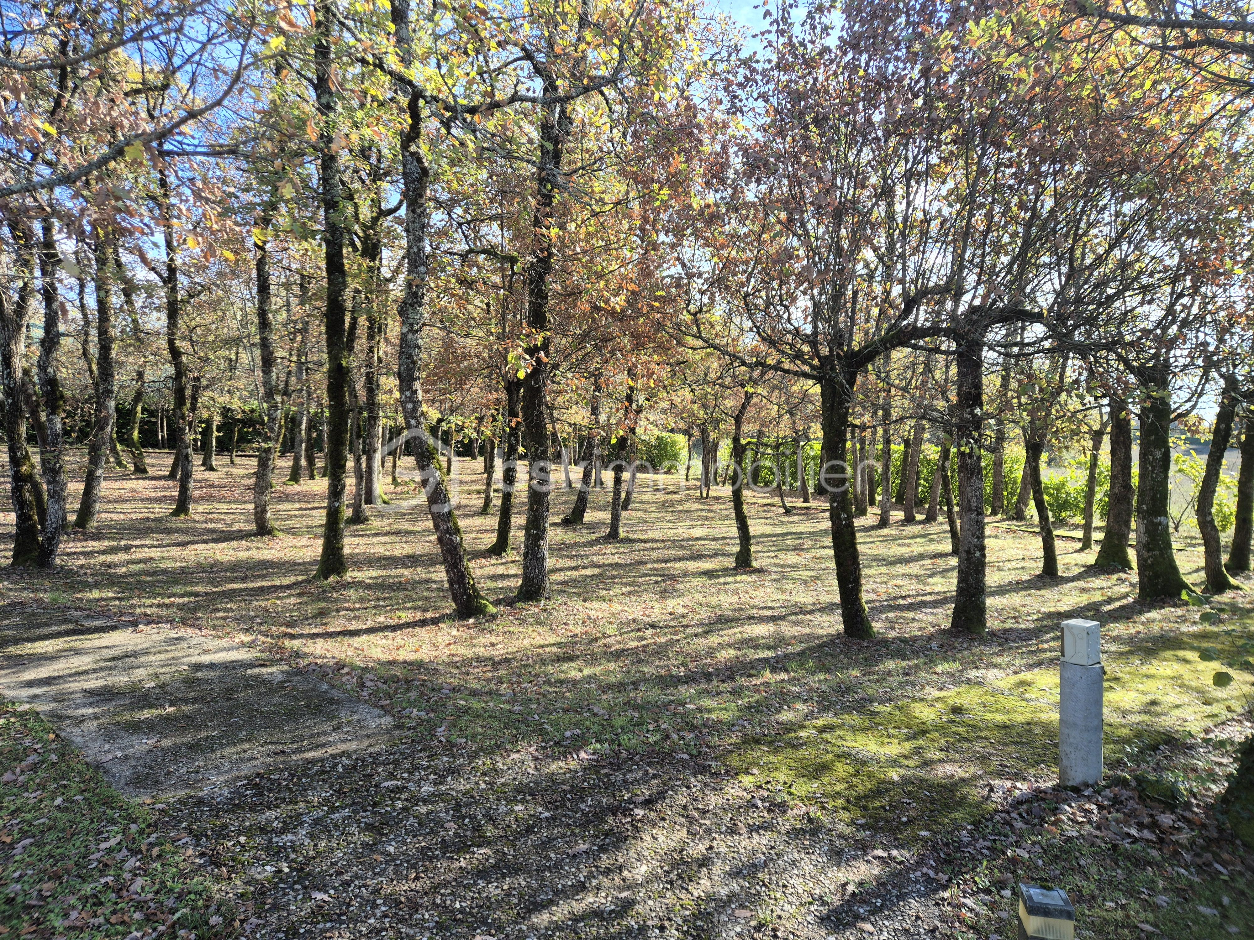 Maison de 183 m² - 20251127_140055.jpg