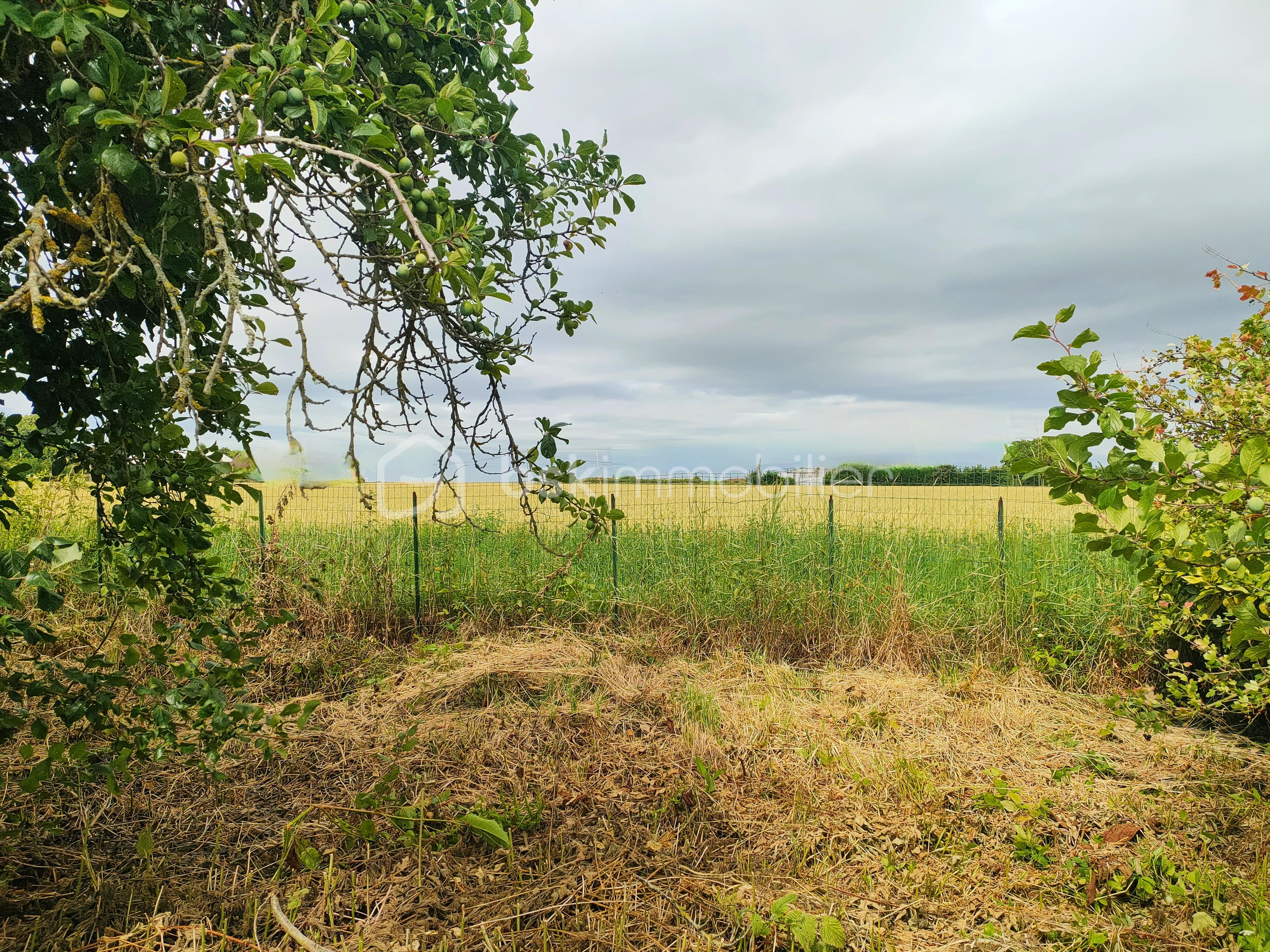 Terrain de 700 m² - IMG_20250710_133115.jpg