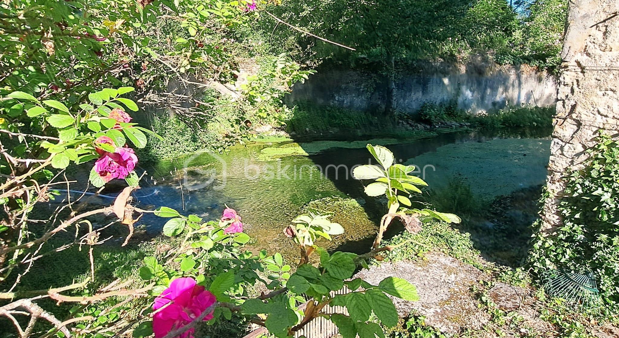 source et rose vers le pigeonnier .jpeg