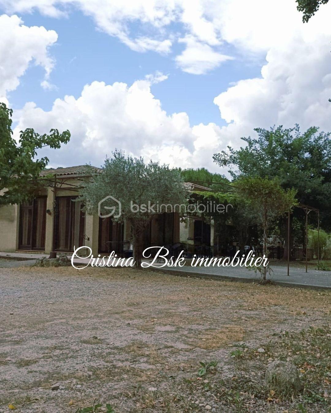 Local commercial de 270 m² - profil murs 03 01 25.jpg