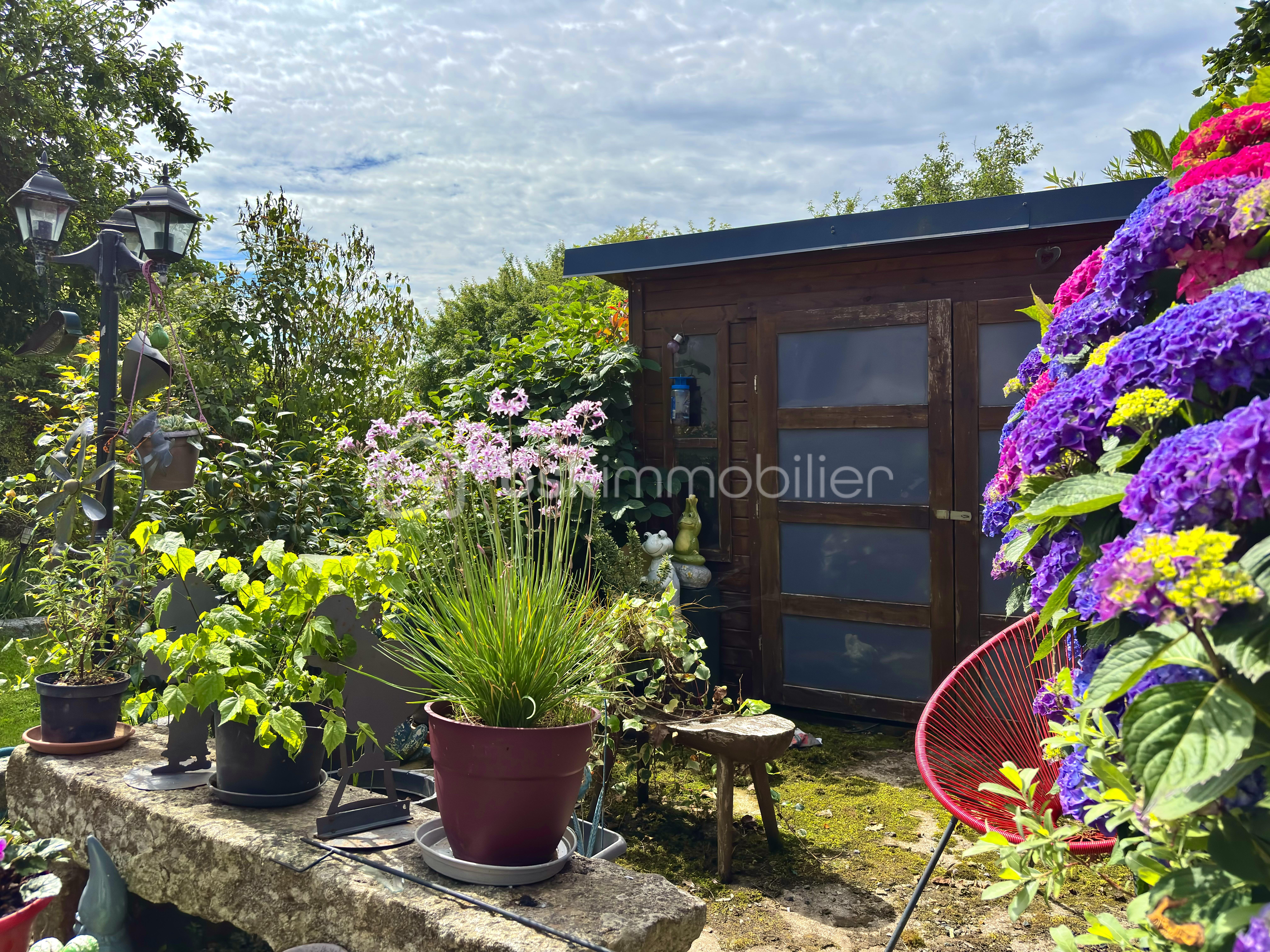 IMG_1501.jpeg