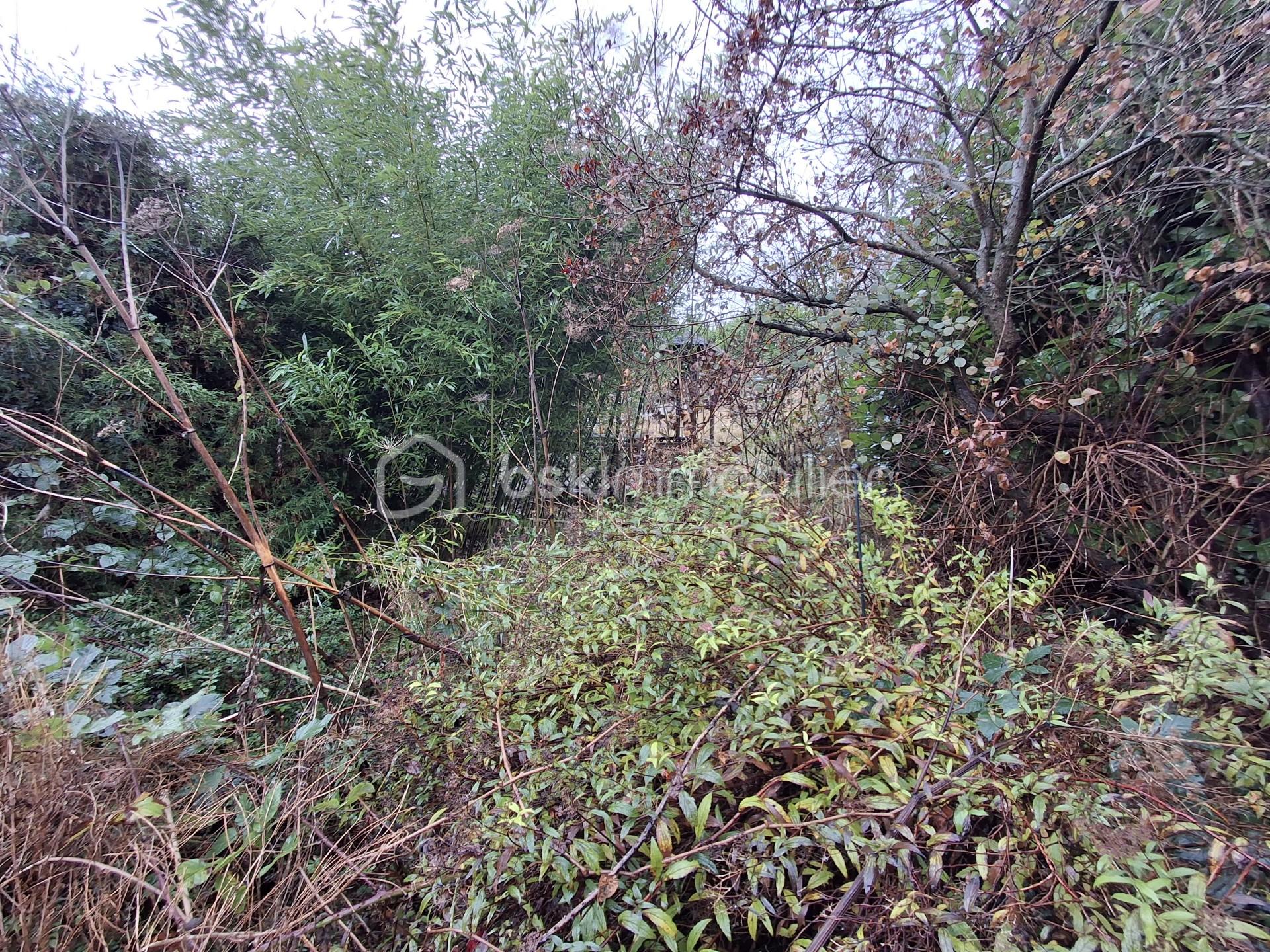 Maison de 115 m² - Jardin paysage.jpg