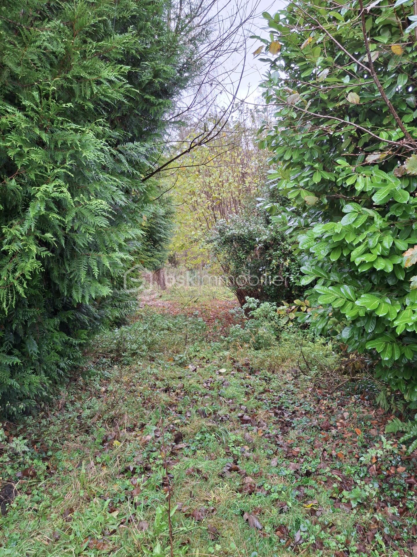 Maison de 115 m² - Jardin portrait.jpg