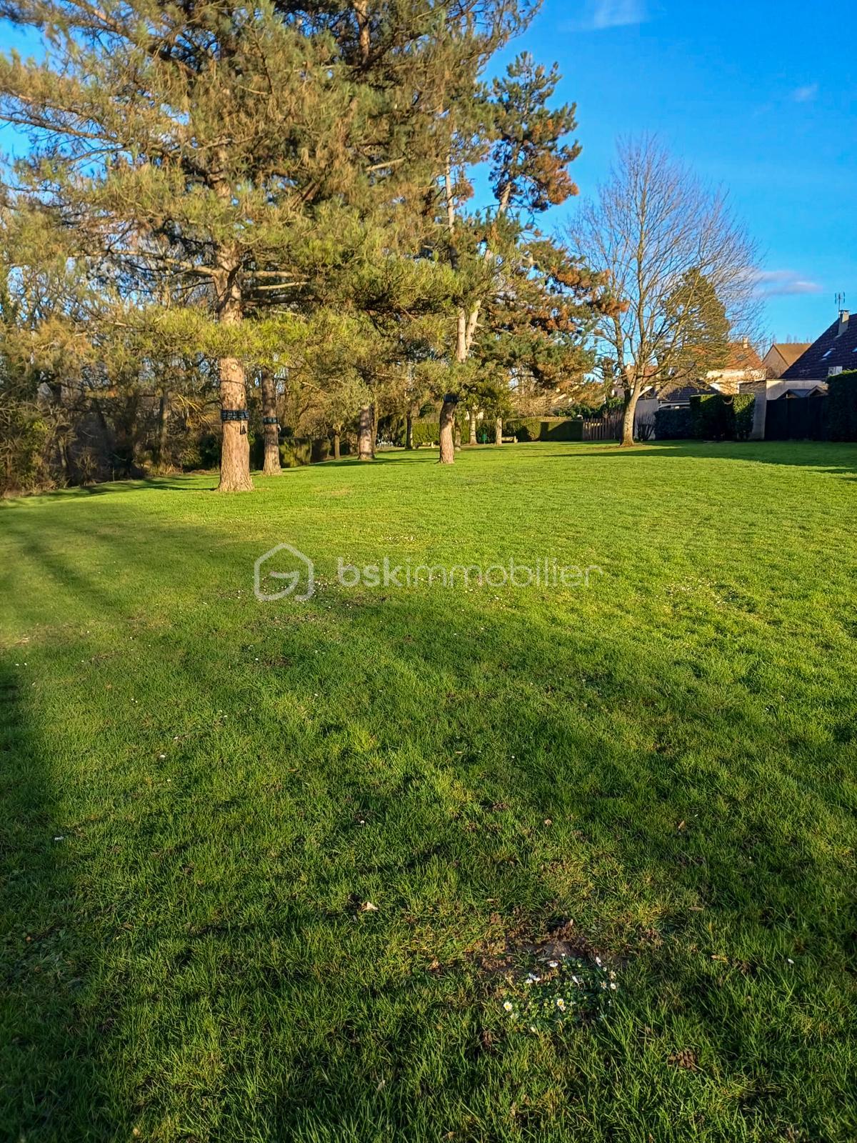 WhatsApp Image 2026-02-17 at 20.07.43.jpeg