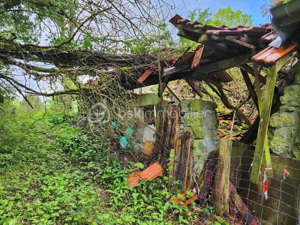 20230424_090138 mini.jpg