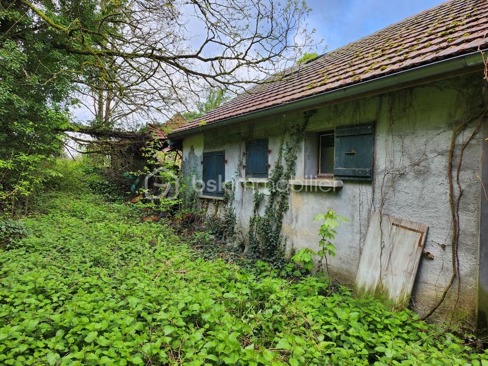 20230424_090303 mini.jpg