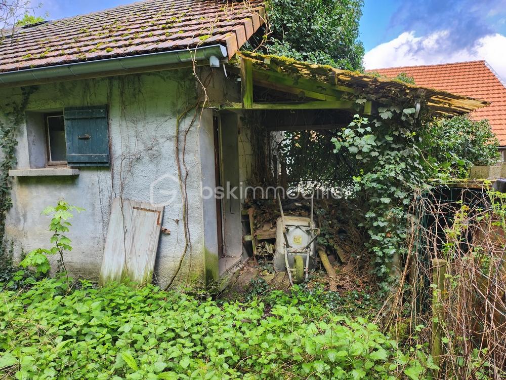 20230424_090300 mini.jpg