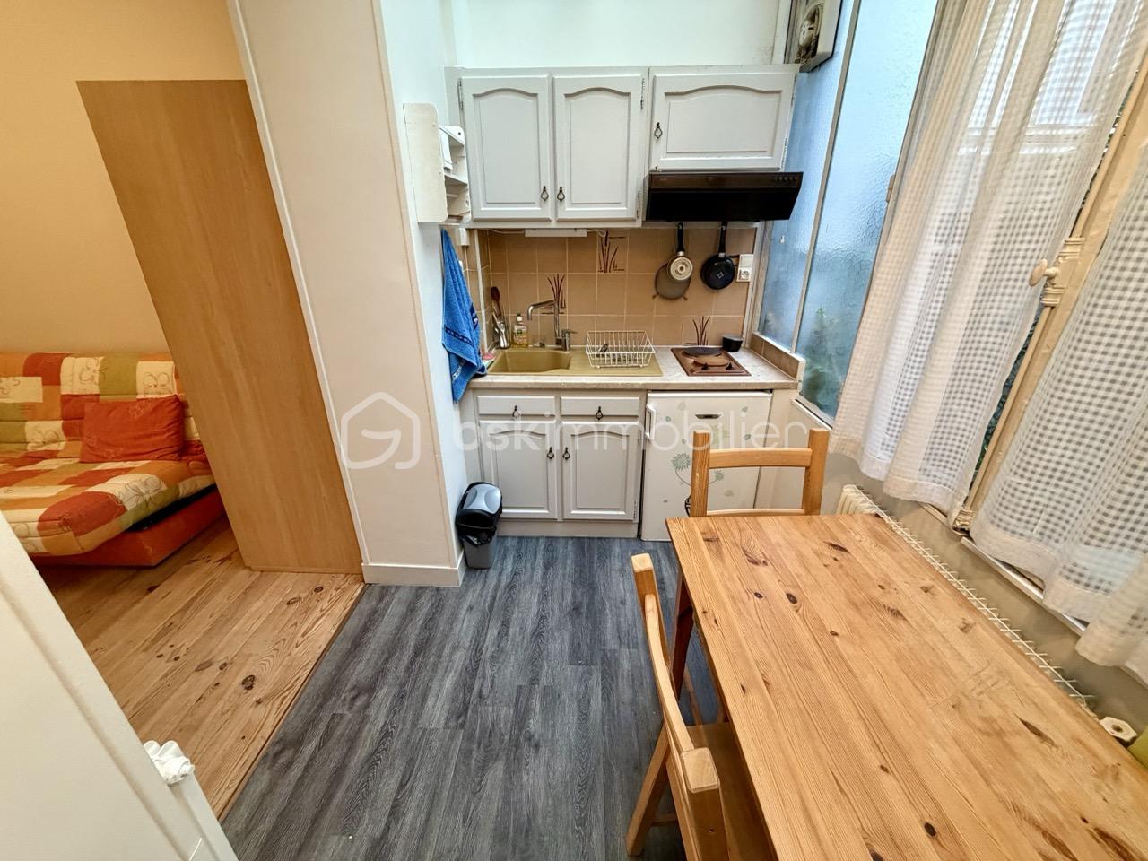 Appartement de 19,50 m² - IMG_1176 - Grande.jpeg