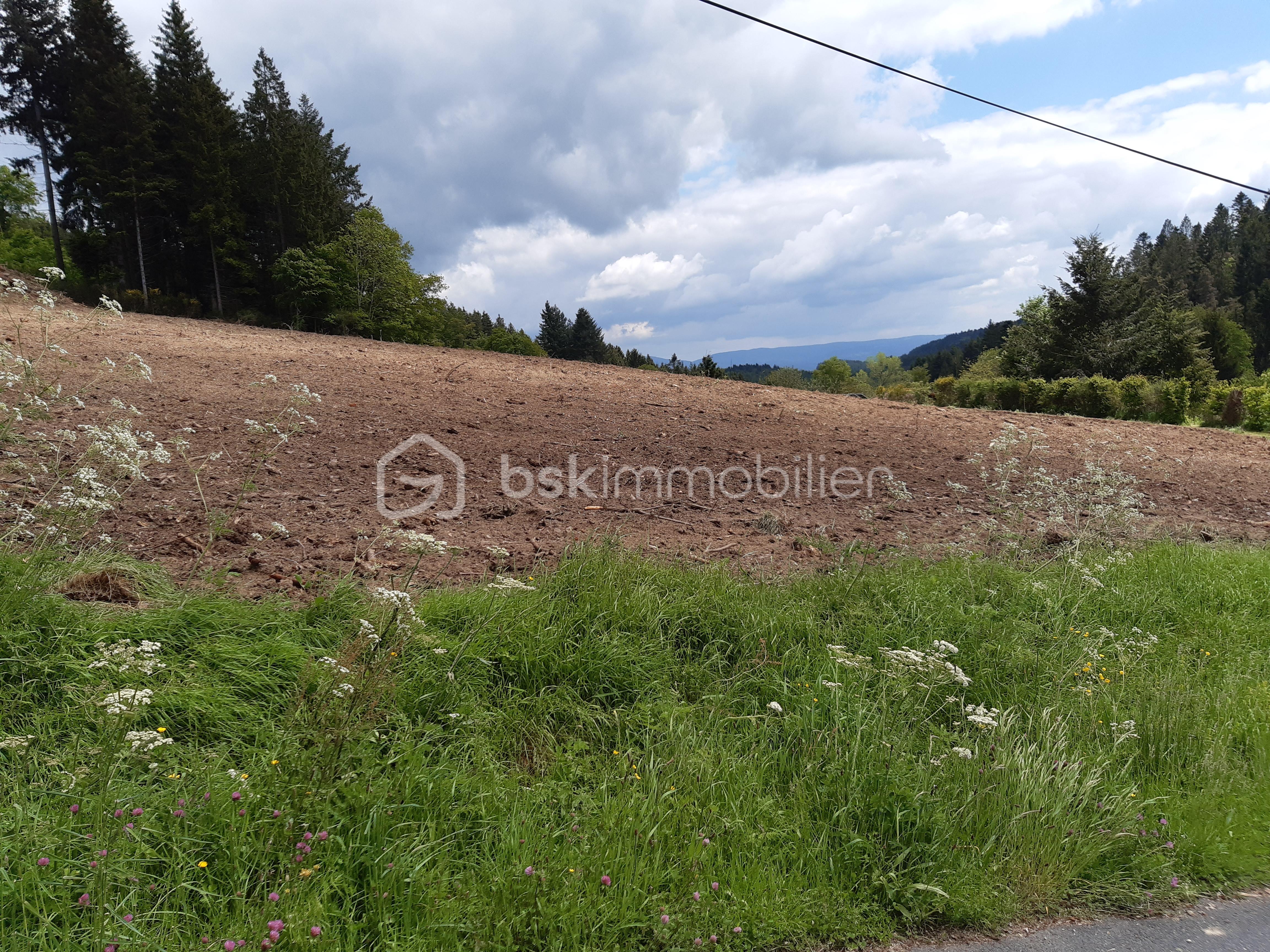 Terrain de 1 900 m² - 20250523_143959.jpg