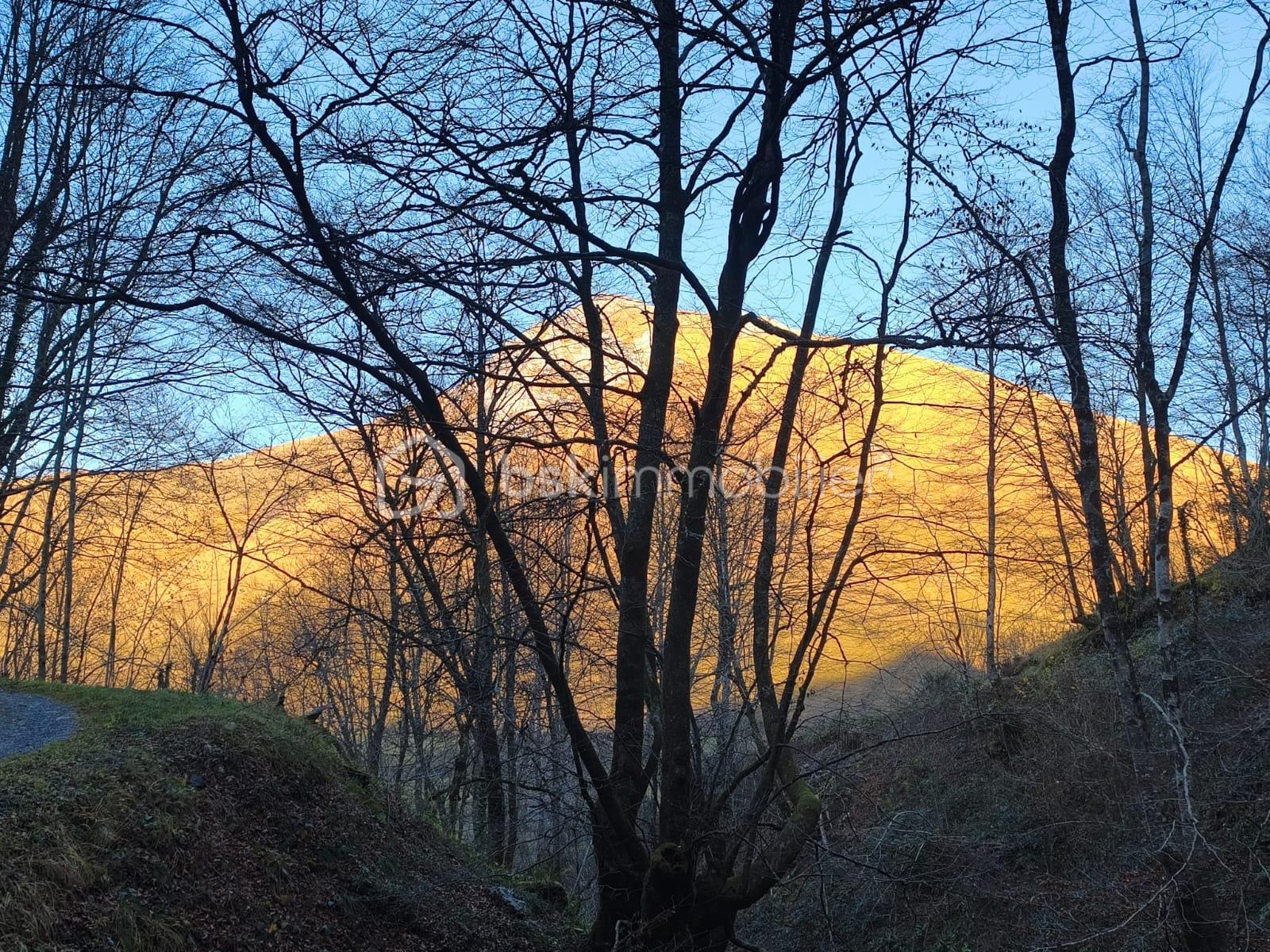 Maison de 85 m² - IMG_5708.JPG