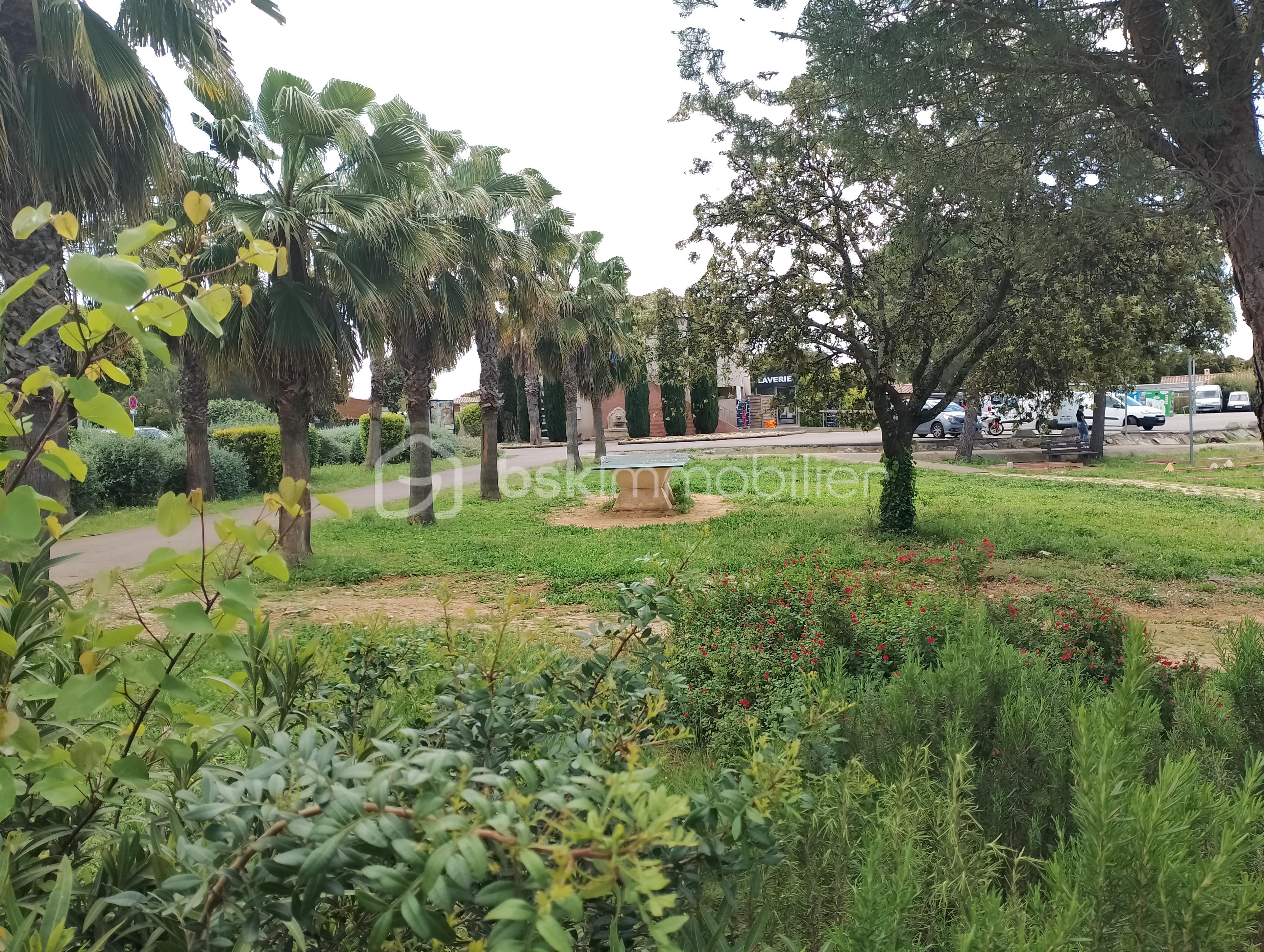 Maison de 30,33 m² - IMG_20250424_120341.JPG