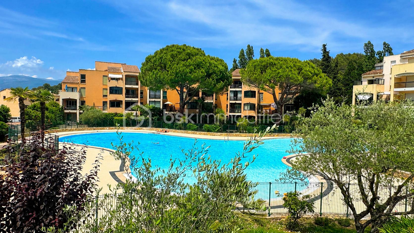 pic piscine Brun.png