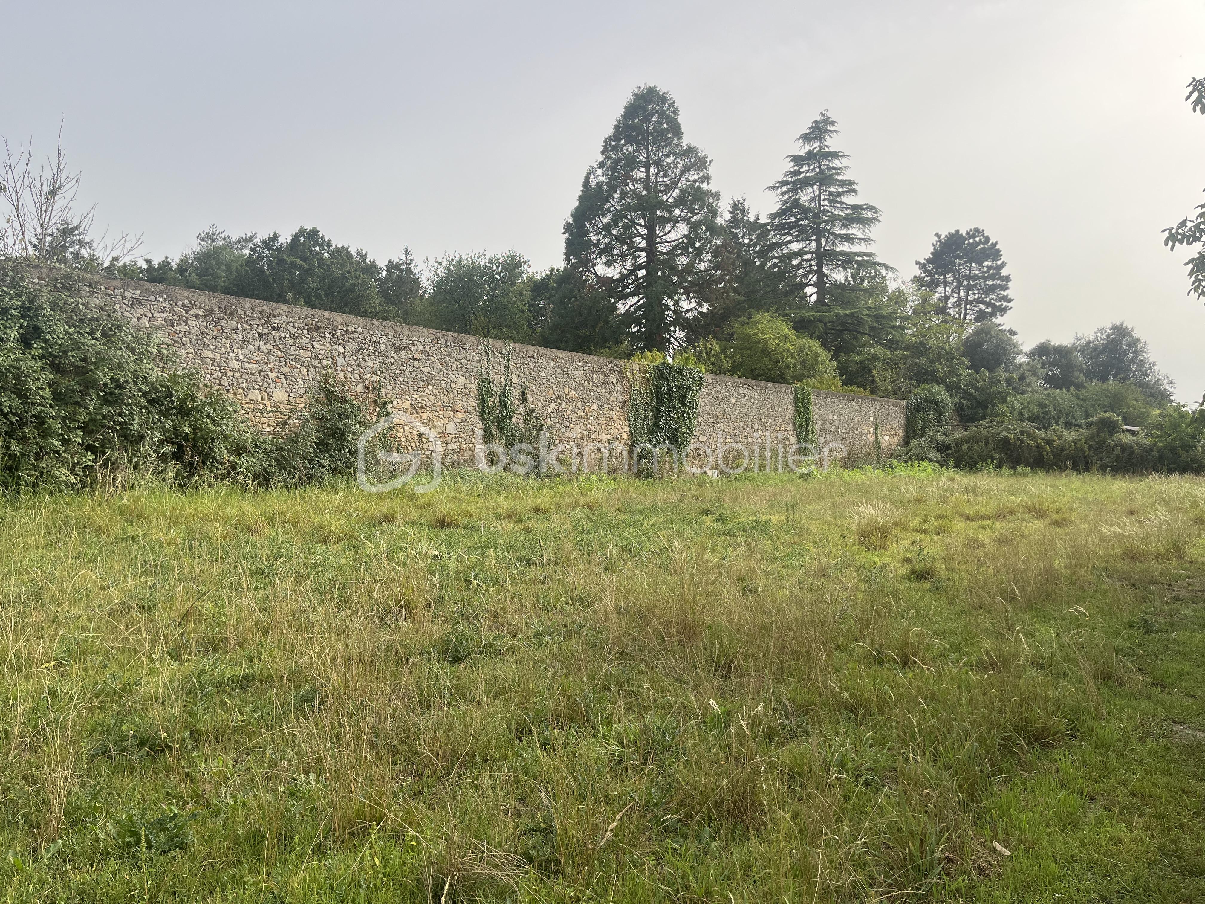 mur.jpg