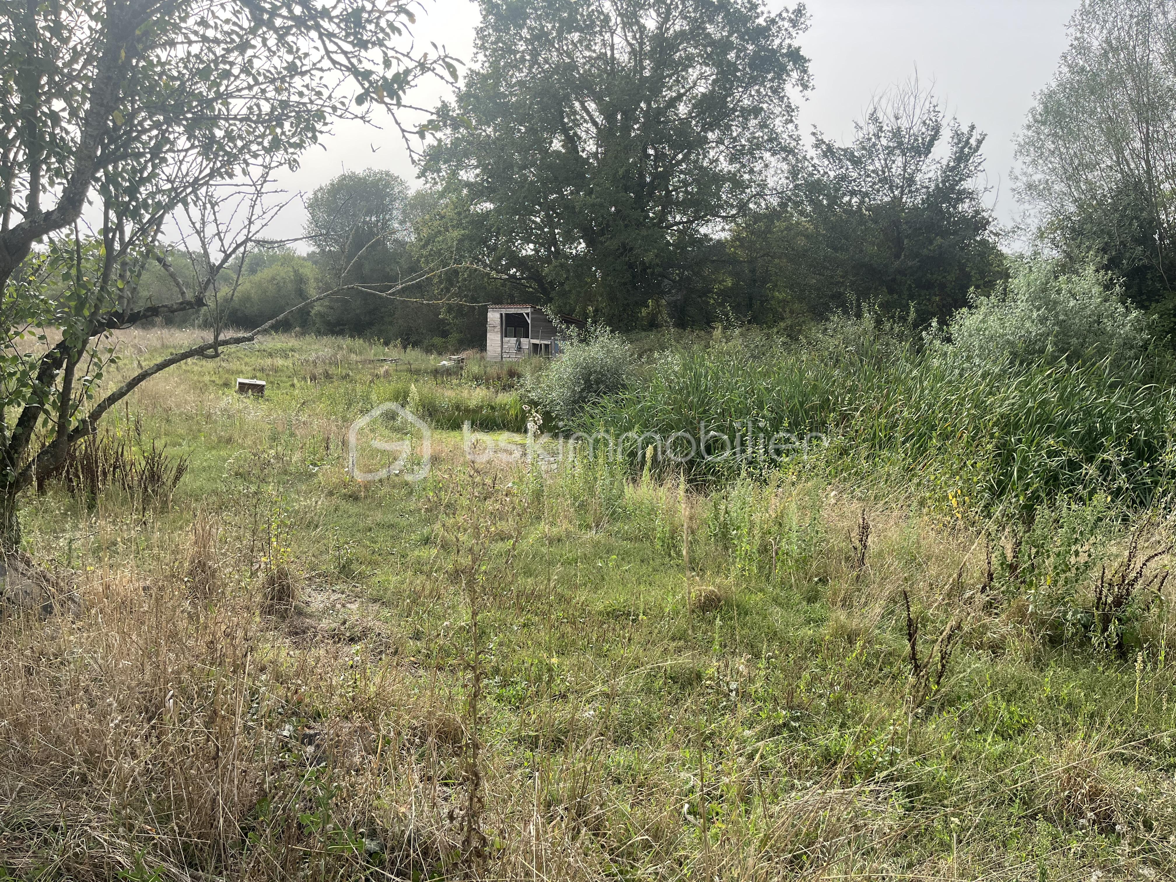 cabane.jpg