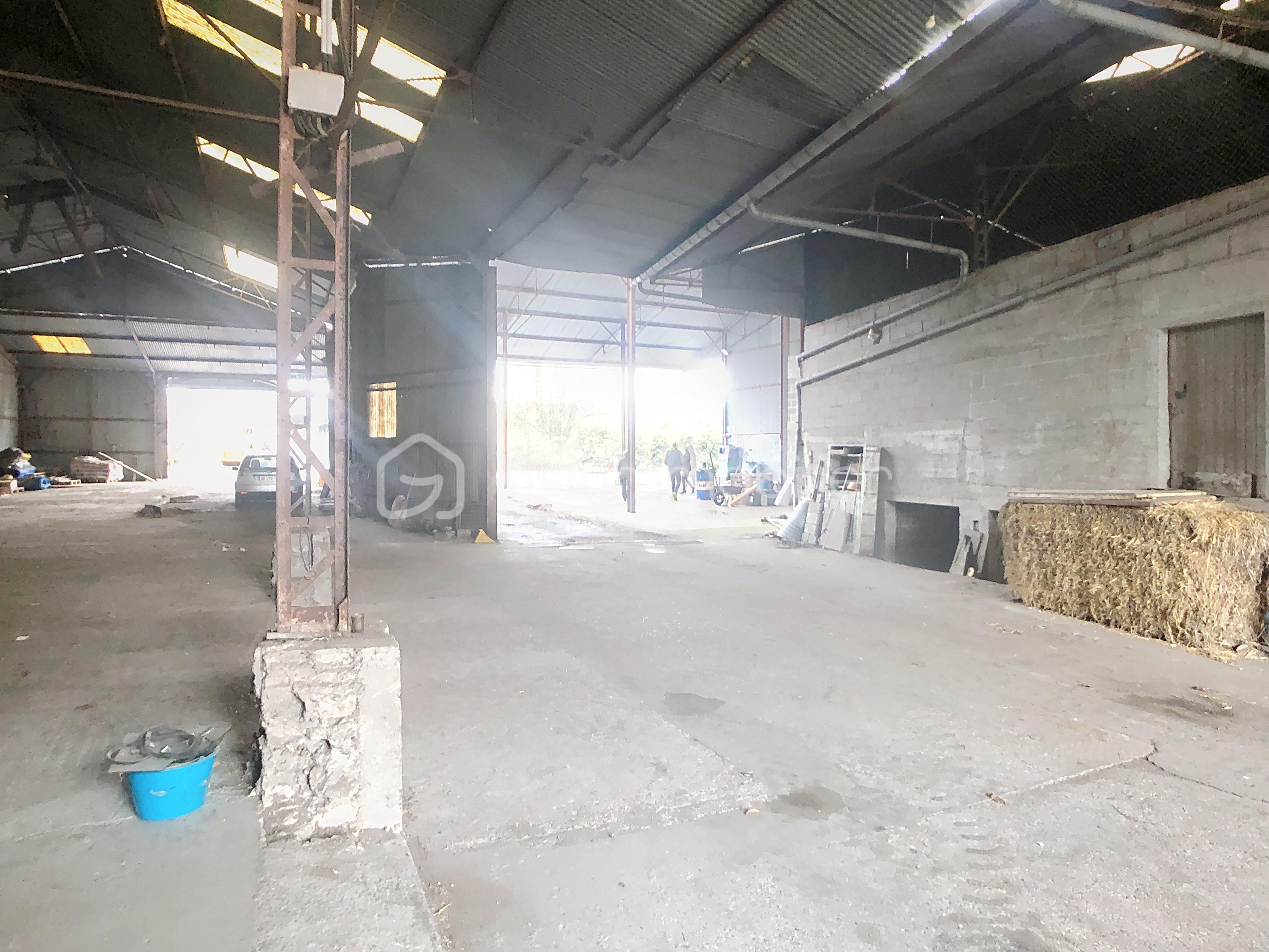 Maison de 241 m² - gondrecille_00030.jpg