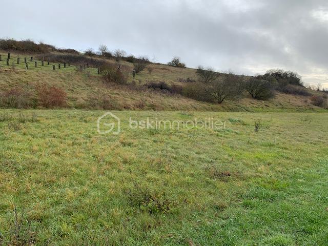 Terrain de 1 784 m² - T4.jpg