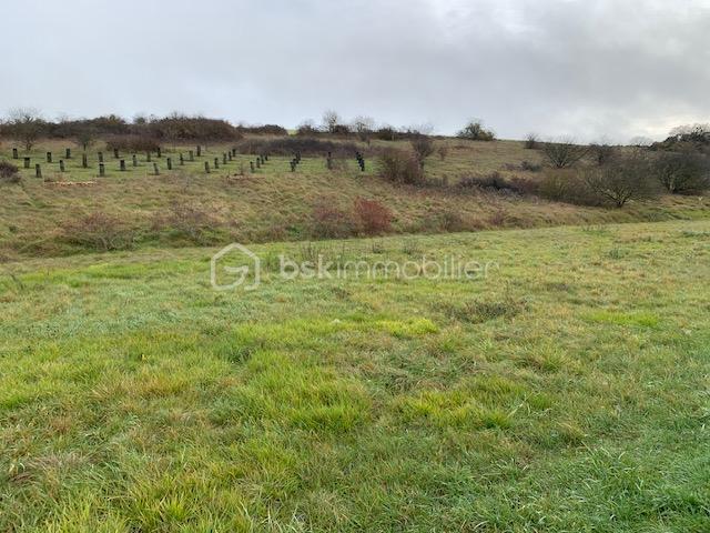 Terrain de 1 784 m² - T2.jpg