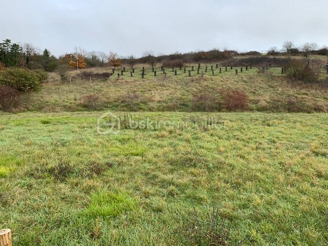 Terrain de 1 784 m²