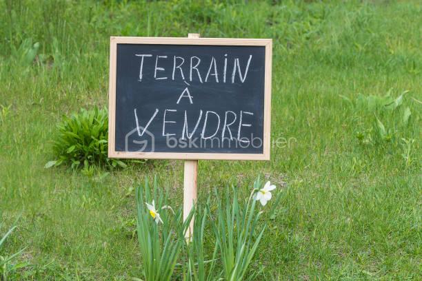 TERRAIN A VENDRE 2.jpeg