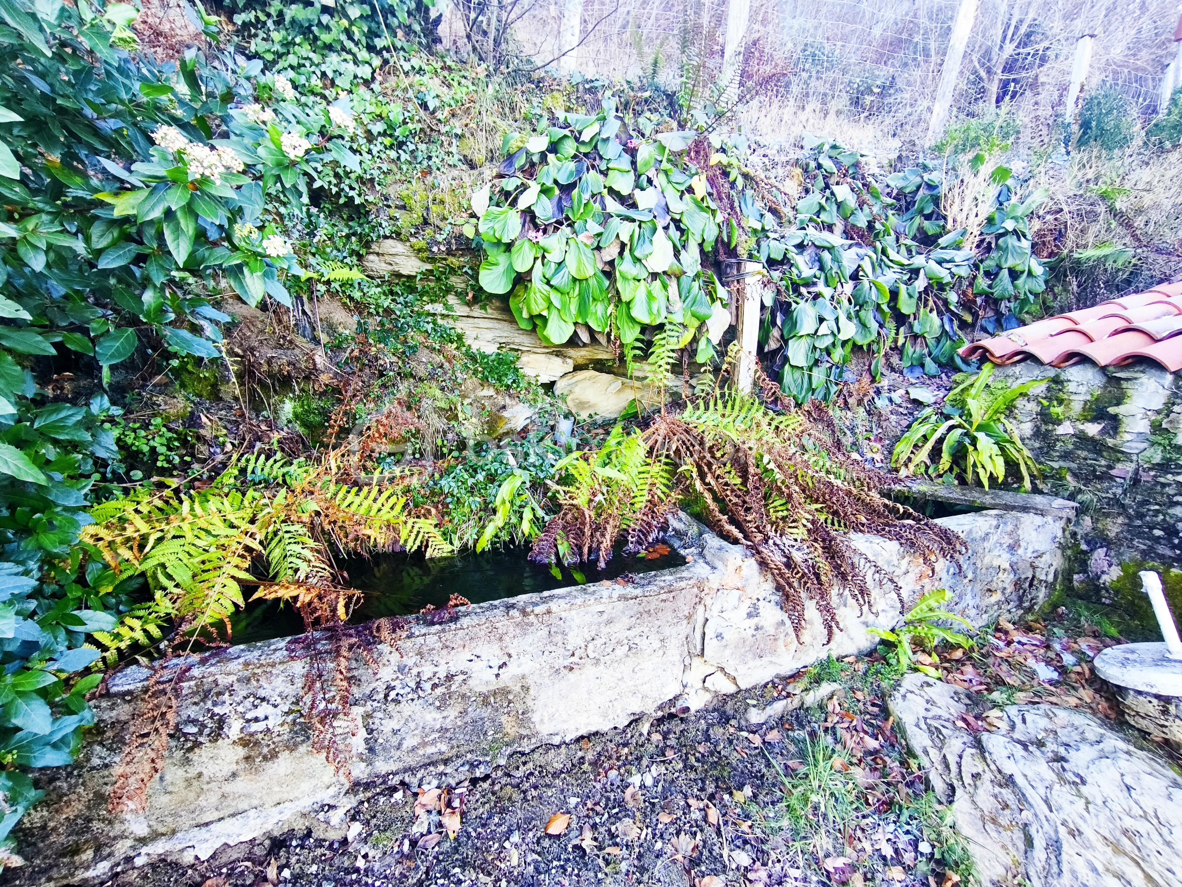 Bergerie de 26 m² - 2025-11-29_09-37-40_157.jpg