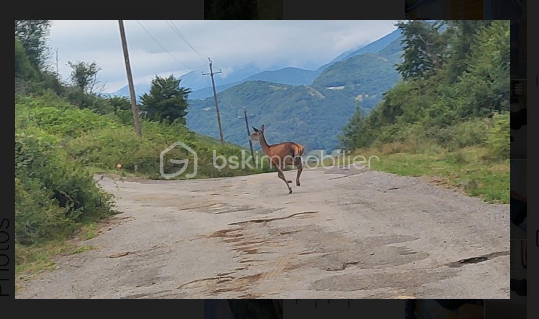 Bergerie de 50 m² - 1753085780202.jpg