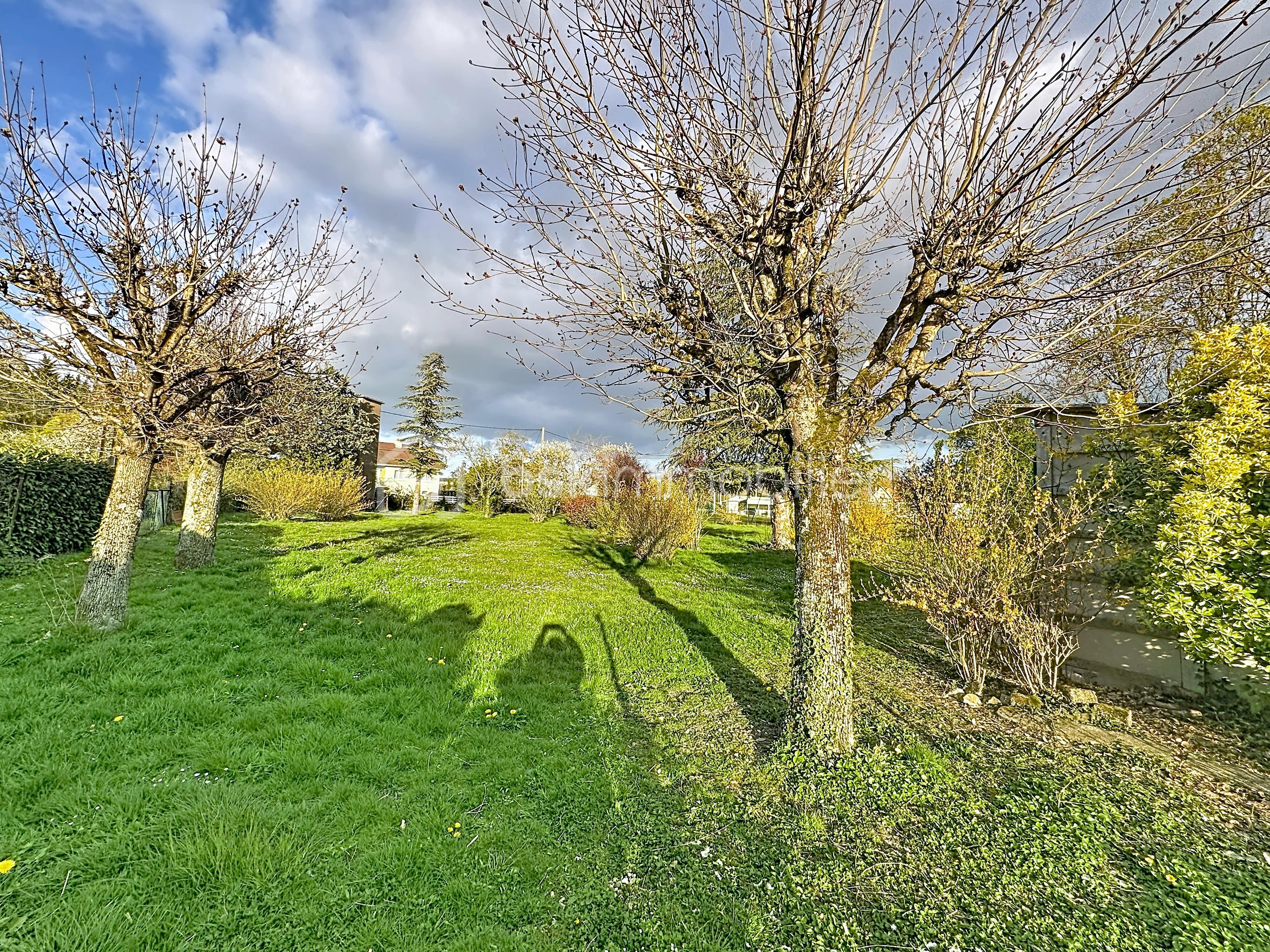 brazey-terrain_00001 (2).jpg