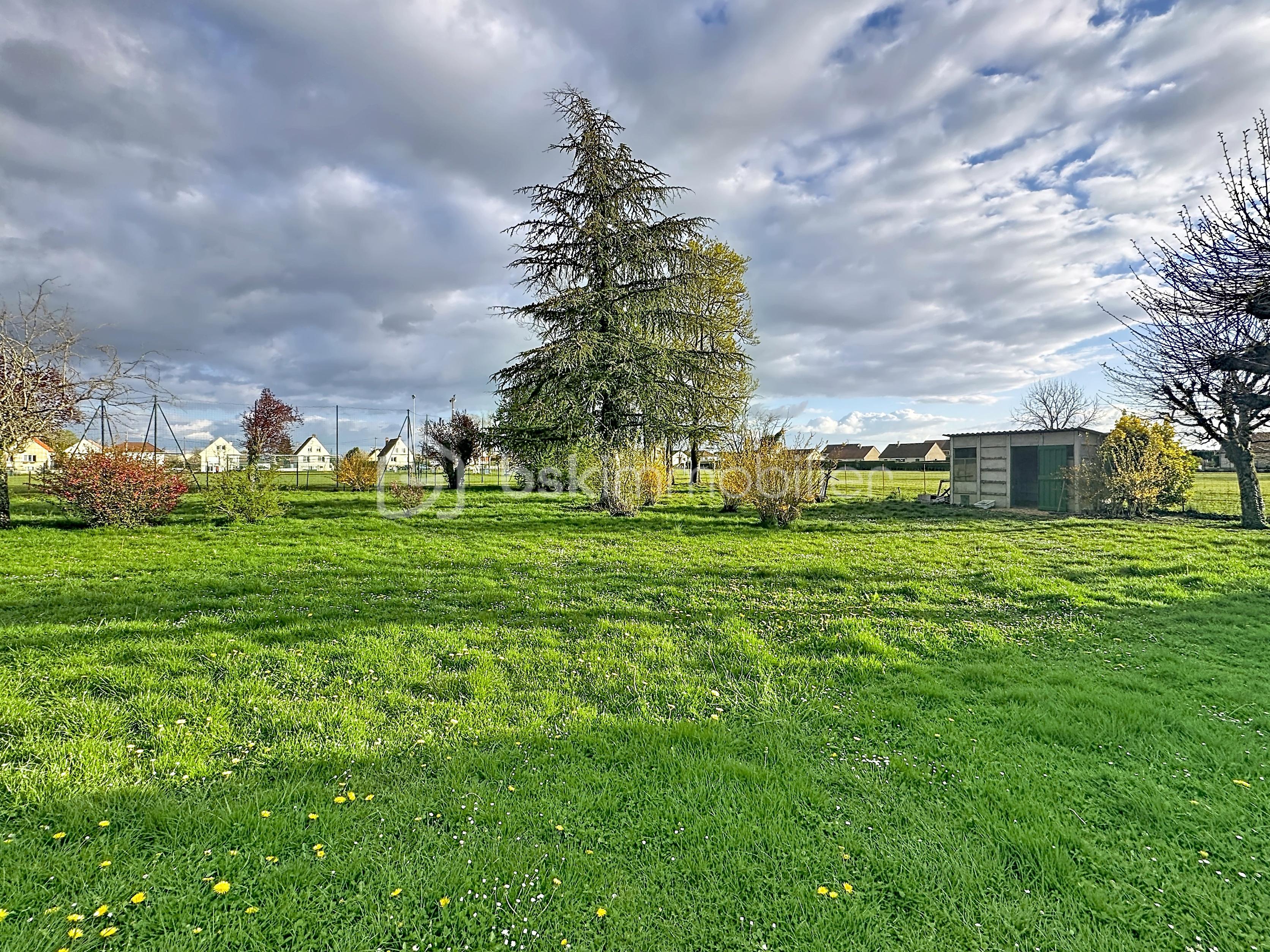 brazey-terrain_00001 (3).jpg