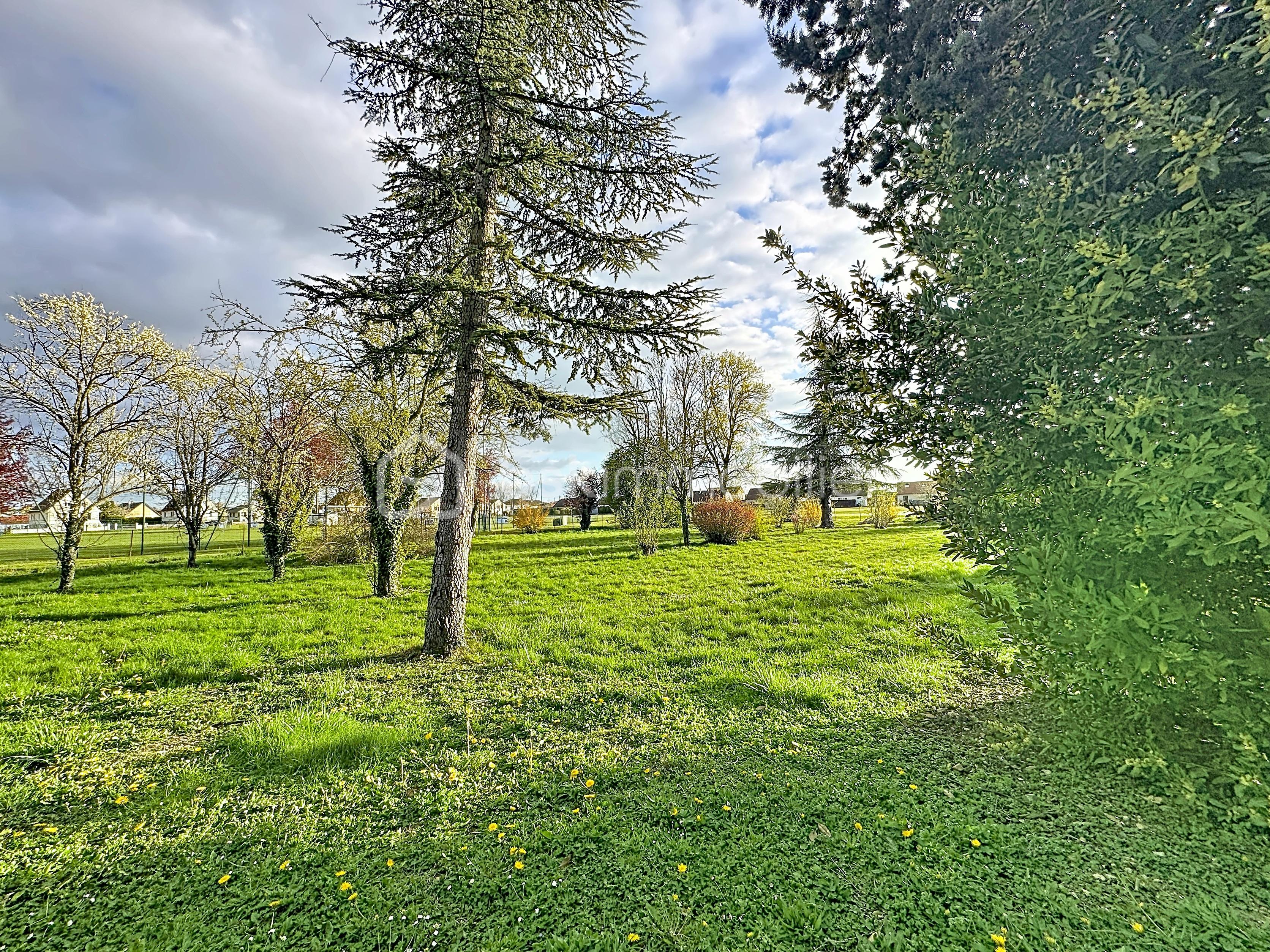 brazey-terrain_00001 (1).jpg