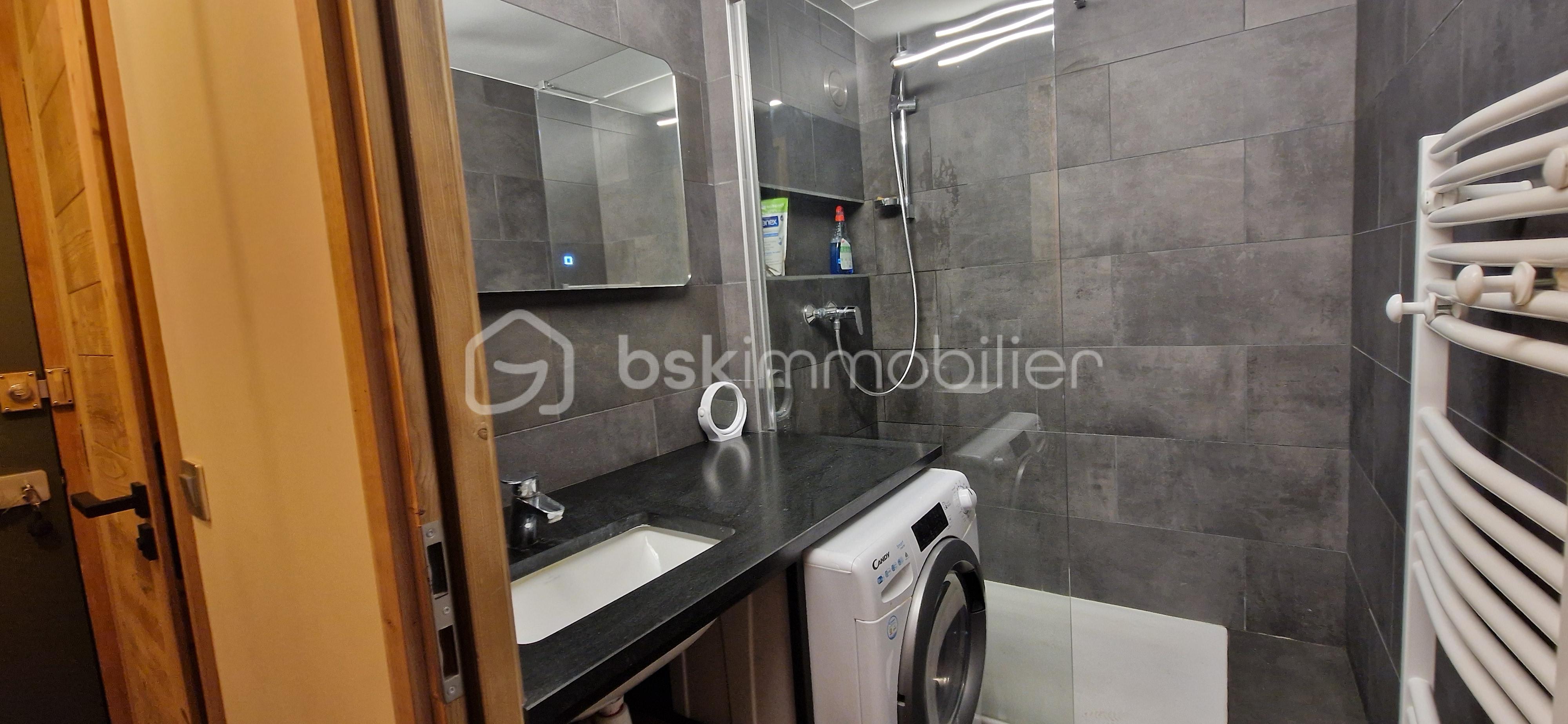 Appartement de 33,02 m² - entrée+sdd.jpg