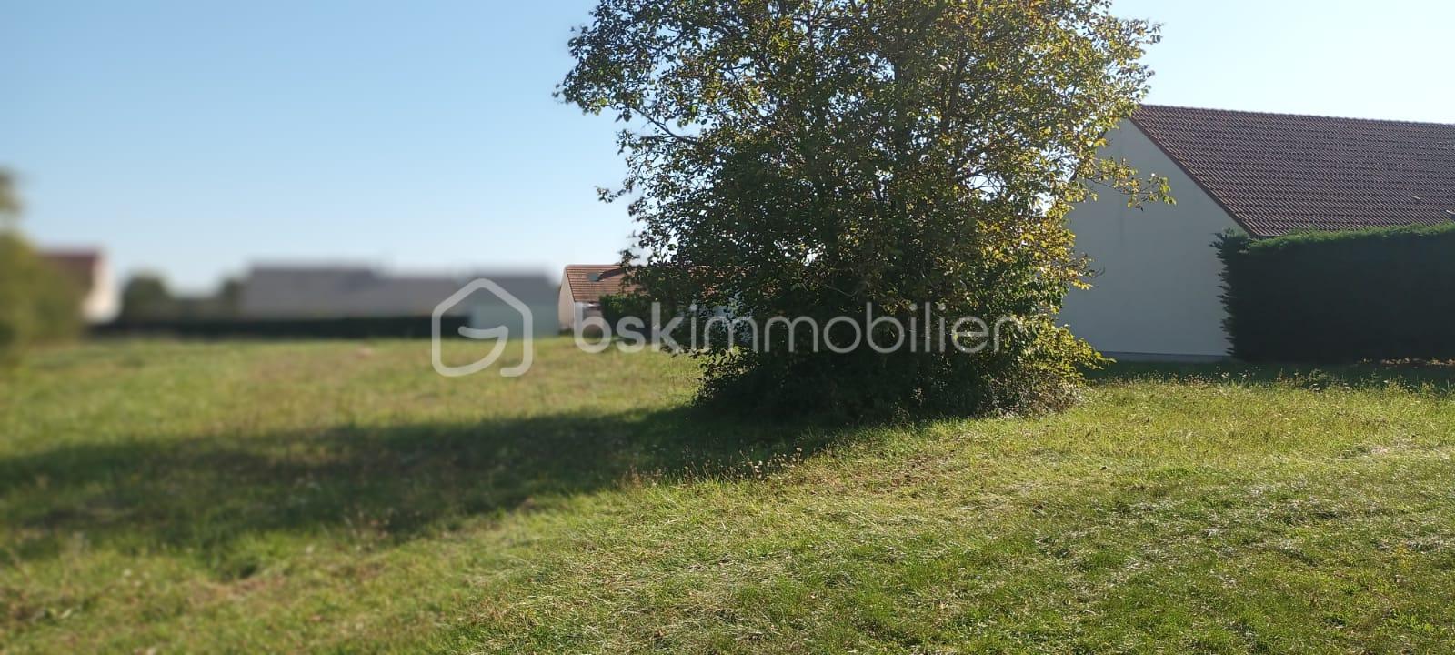 Terrain de 2 190 m² - PARCELLE ZE217.jpg