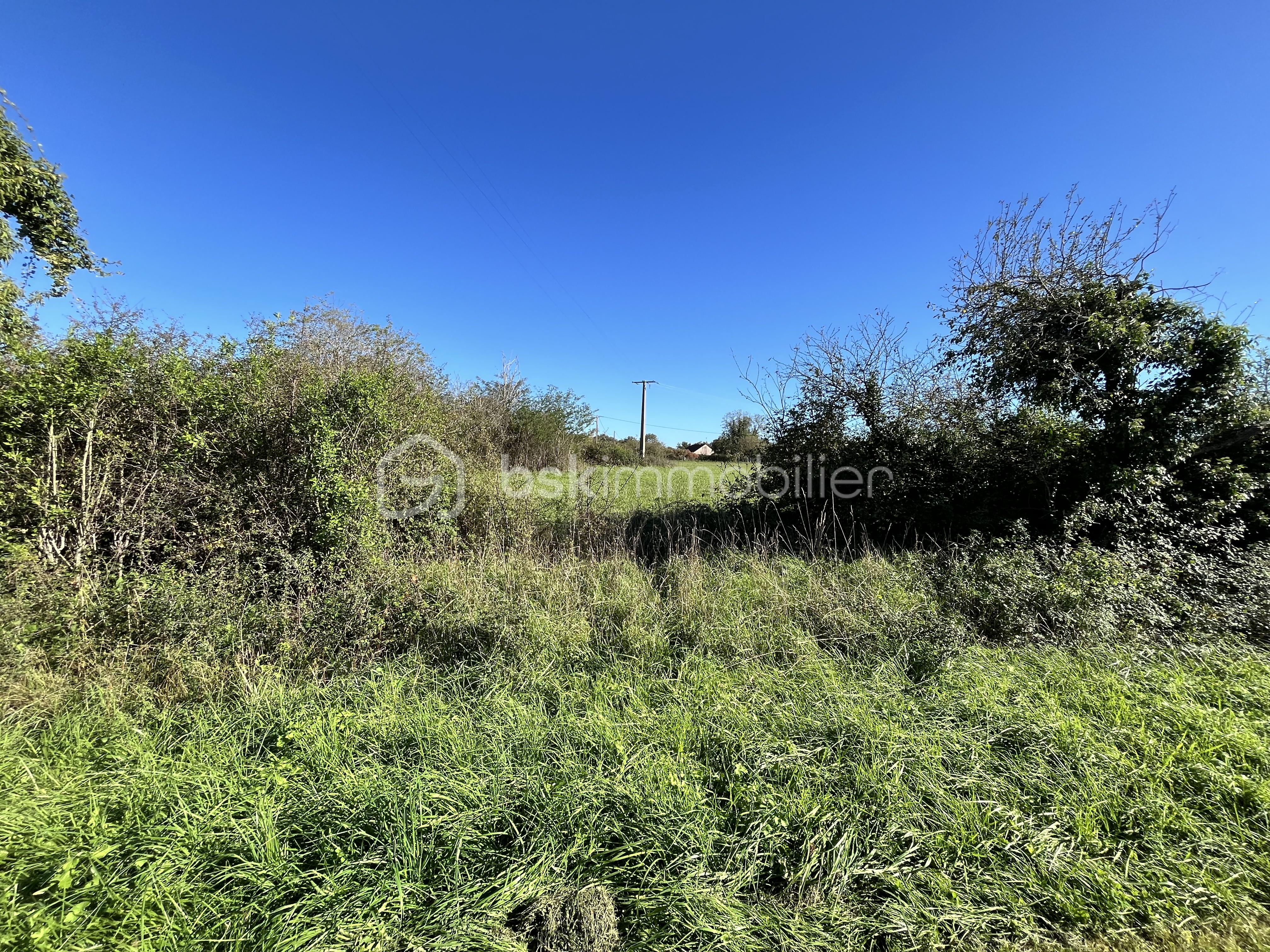 Terrain de 9 100 m² - IMG_0483.jpeg