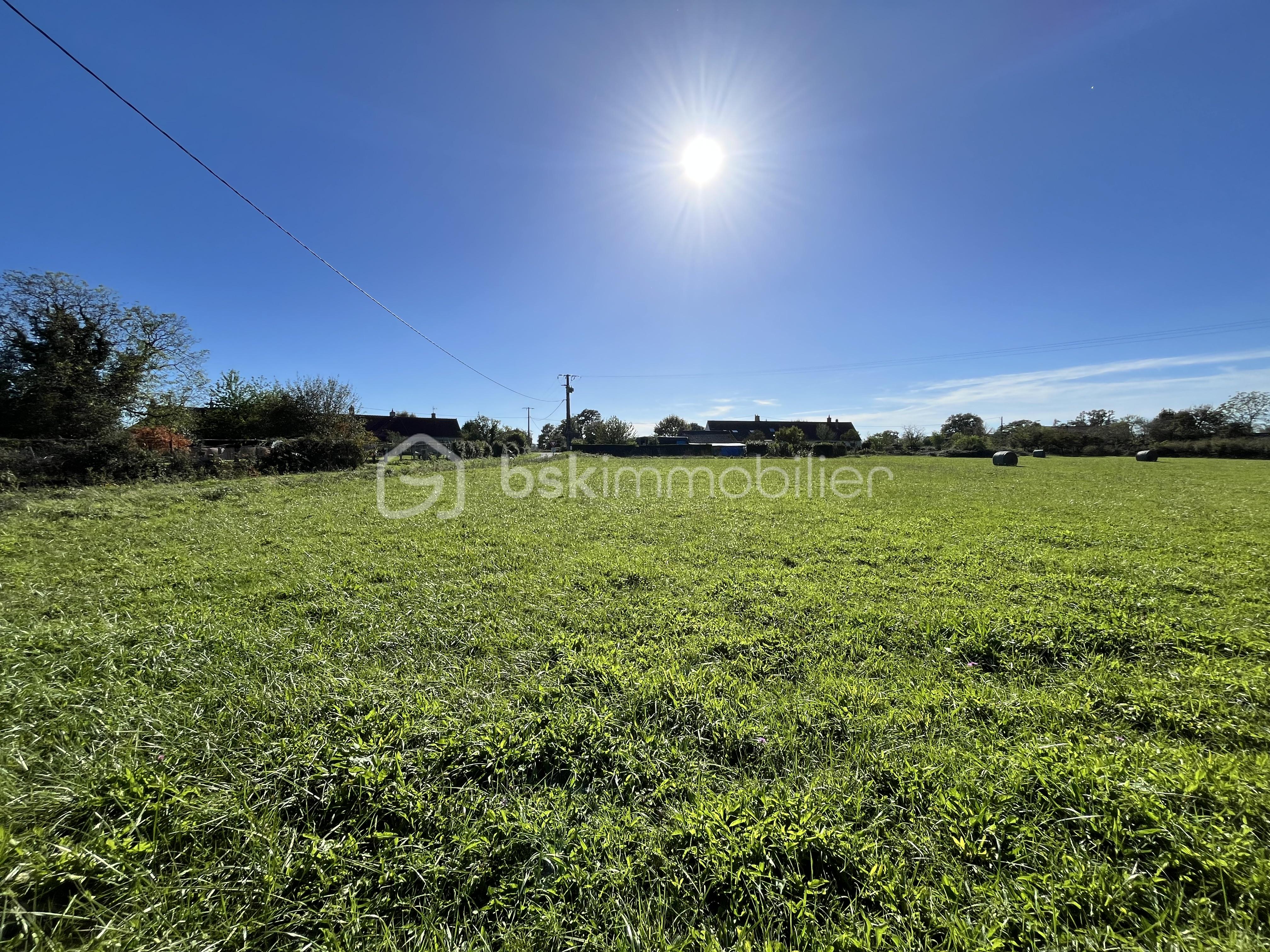 Terrain de 9 100 m² - IMG_0485.jpeg