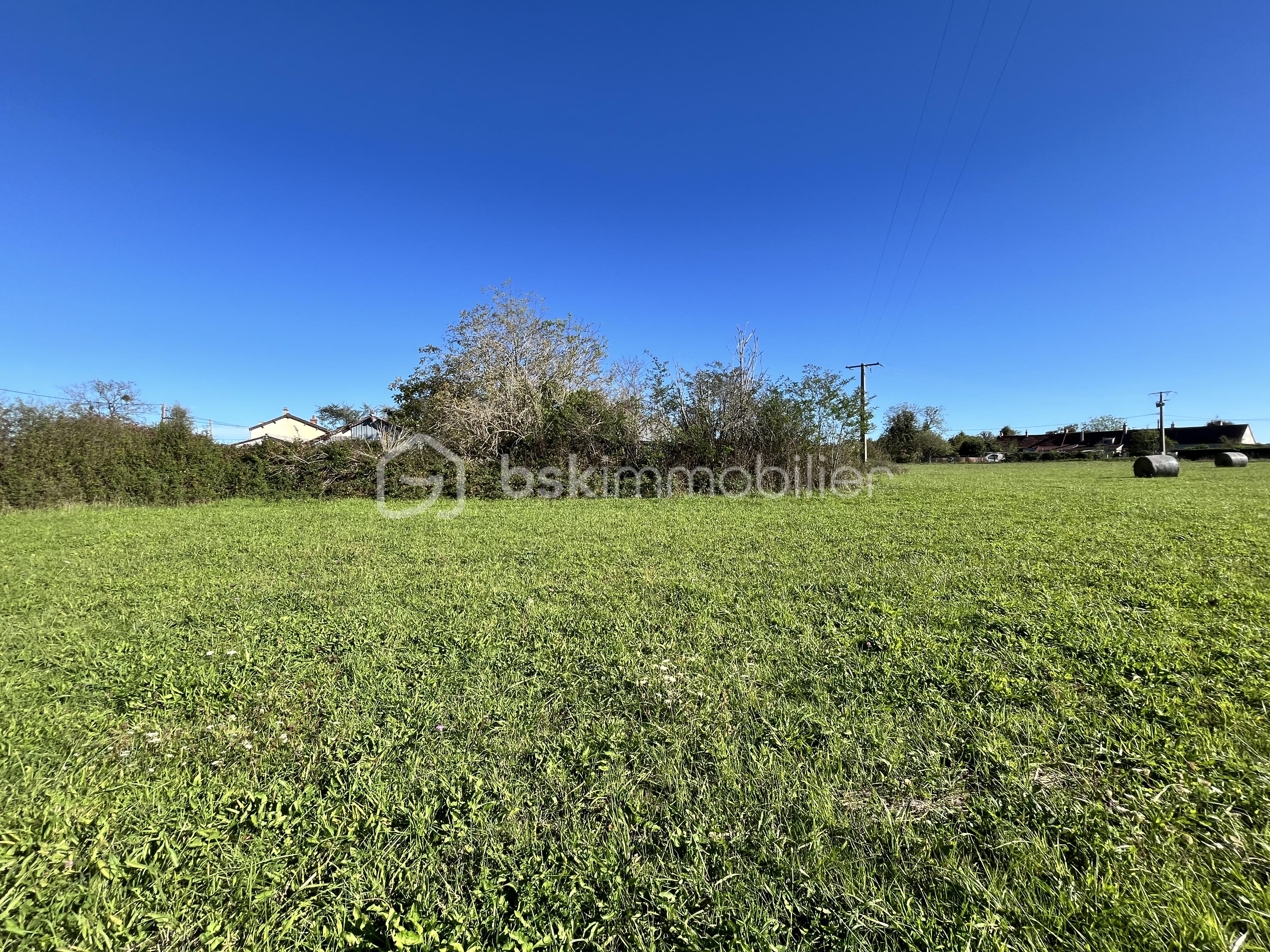 Terrain de 9 100 m² - IMG_0480.jpeg