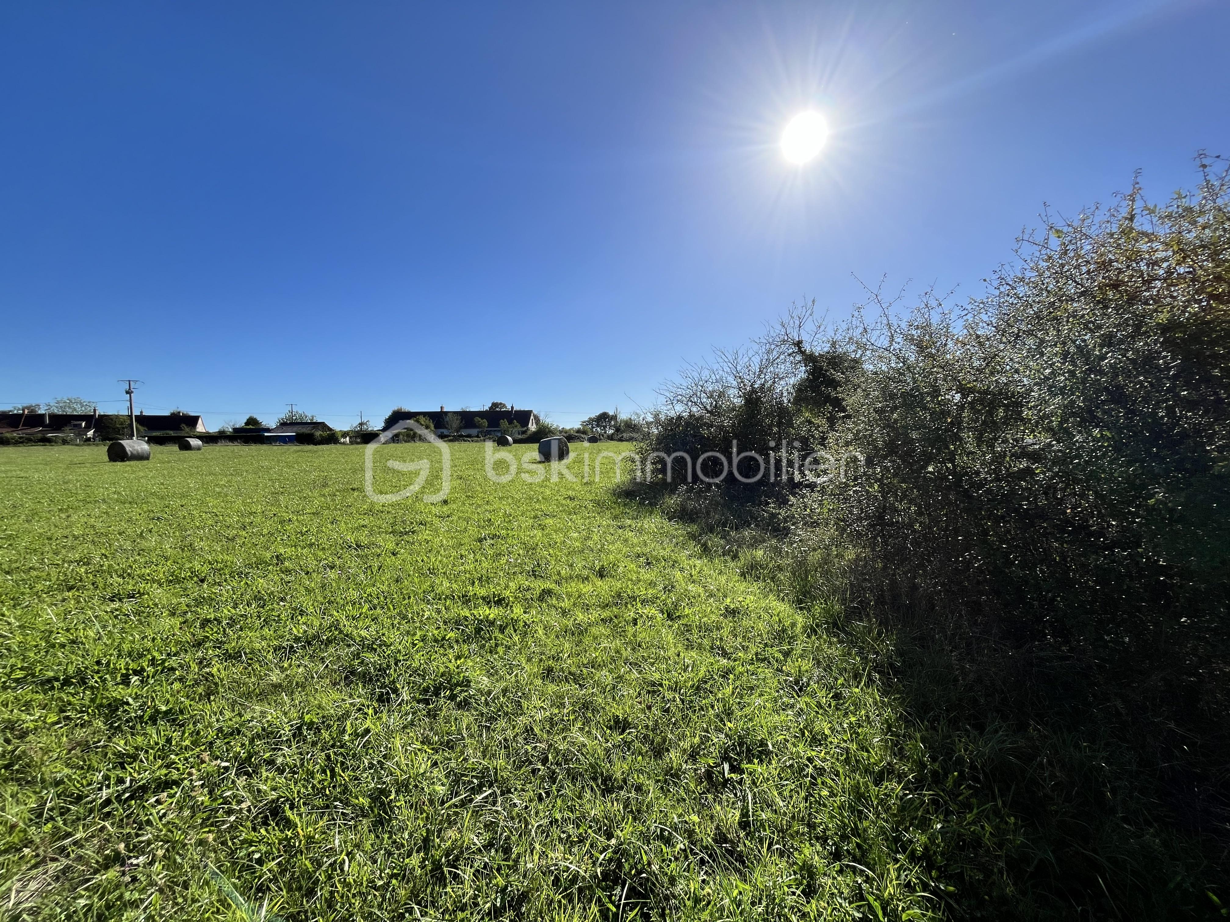 Terrain de 9 100 m² - IMG_0482.jpeg