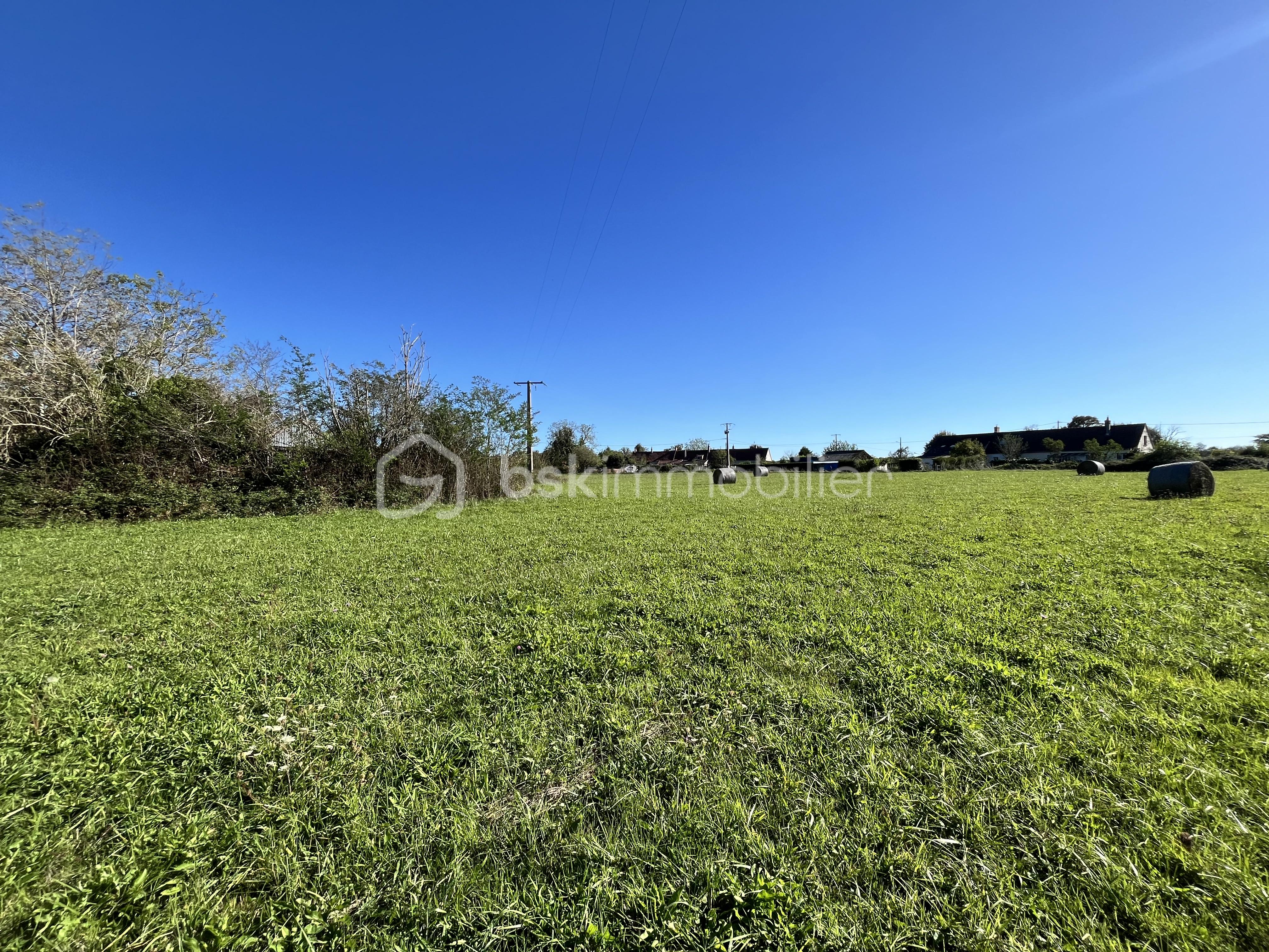 Terrain de 9 100 m² - IMG_0481.jpeg