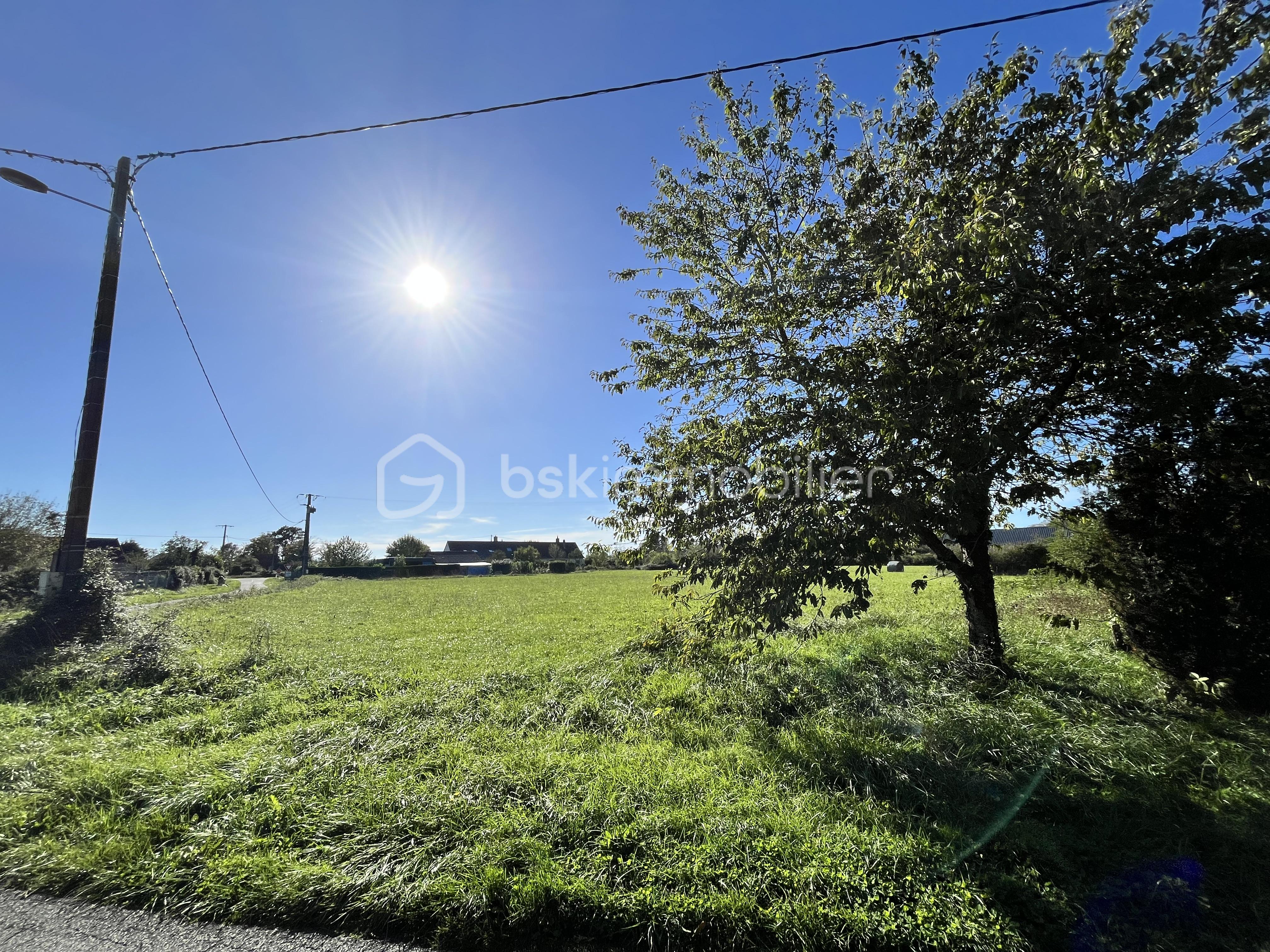 Terrain de 9 100 m² - IMG_0486.jpeg