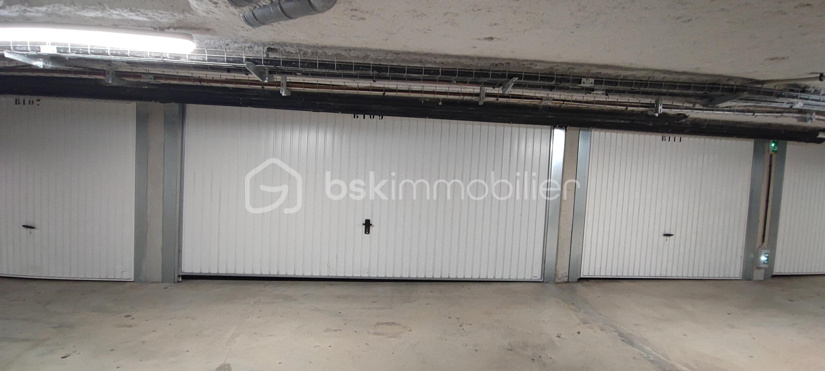 bianco porte de garage.jpg