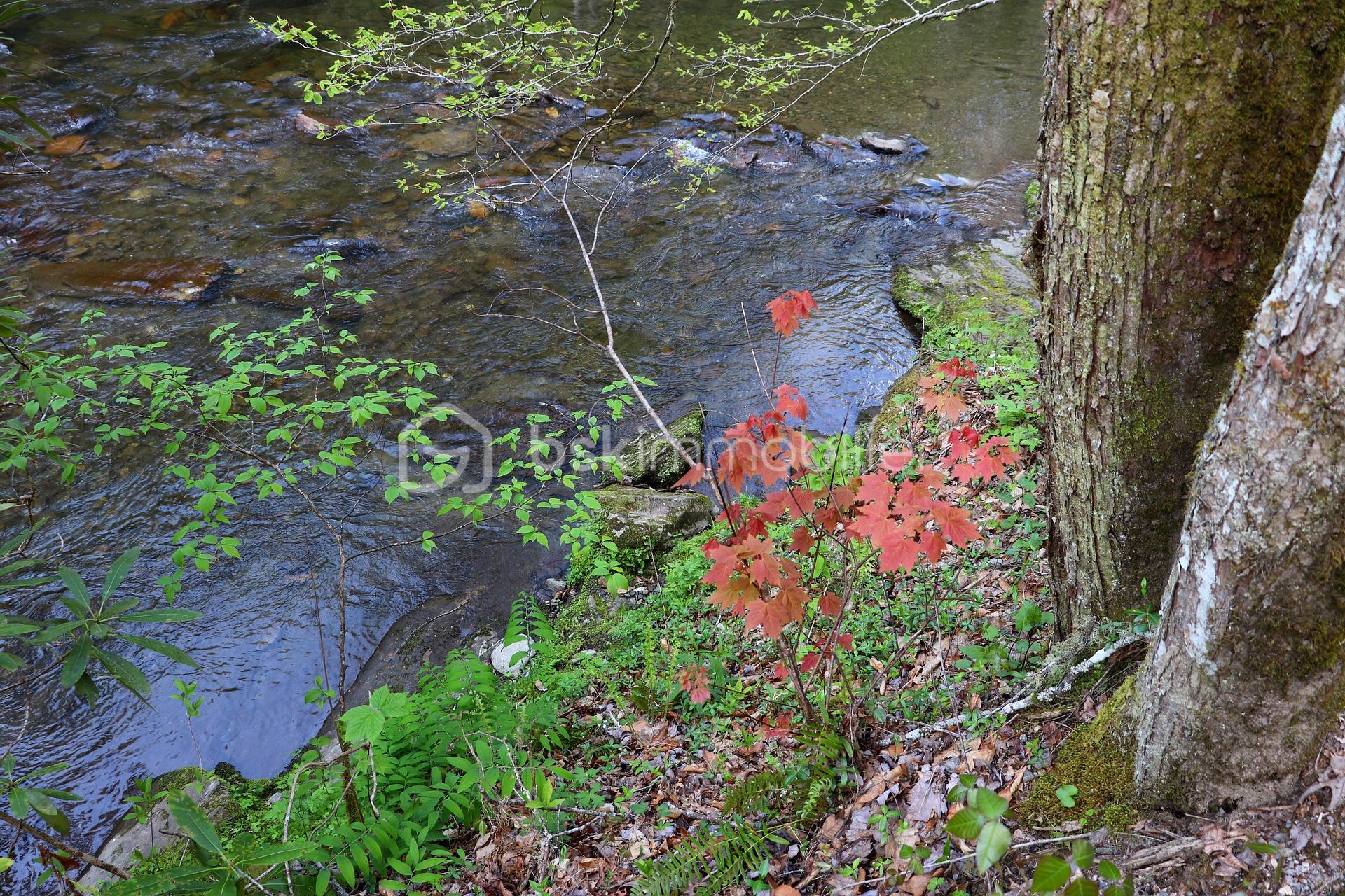 myphotosandcollections-creek-7420639_1920.jpg