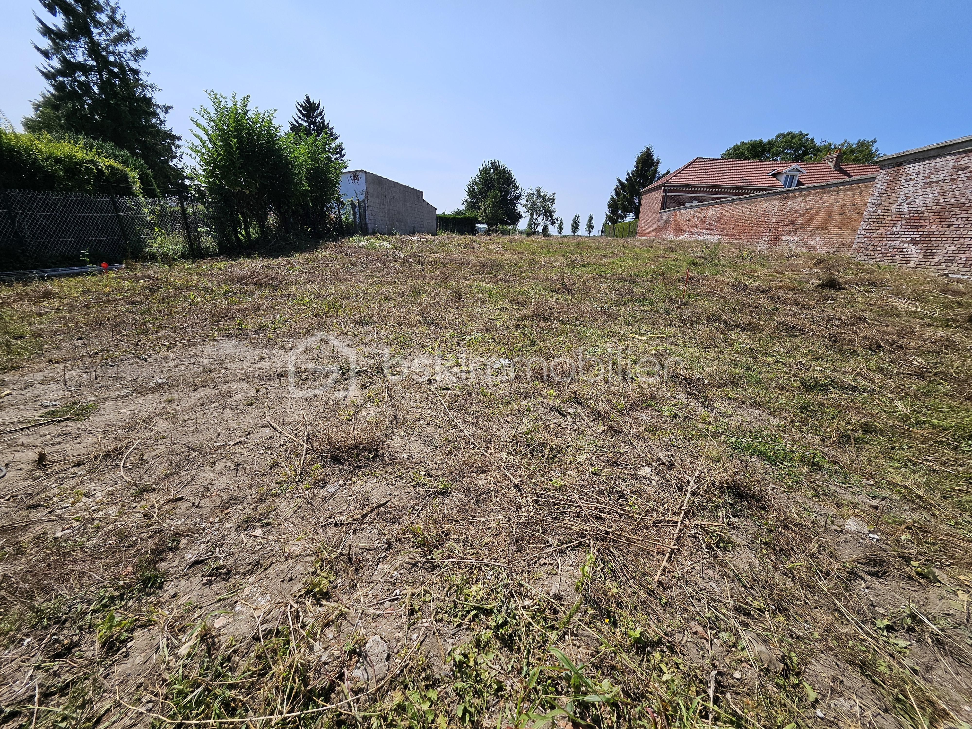 Terrain de 1 100 m² - 20250809_144154.jpg