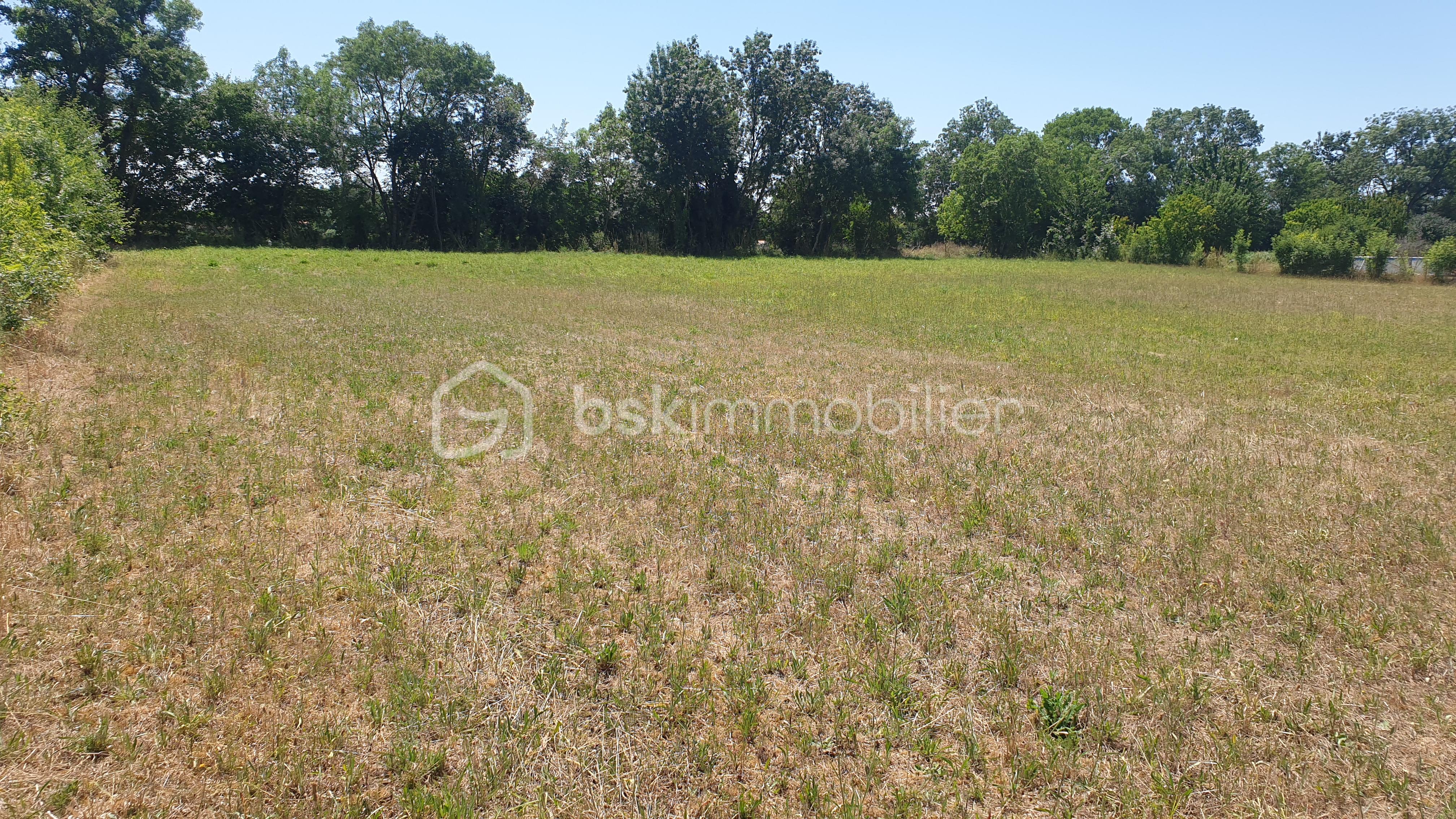 Lotissement de 5 685 m² - 20250623_145451.jpg