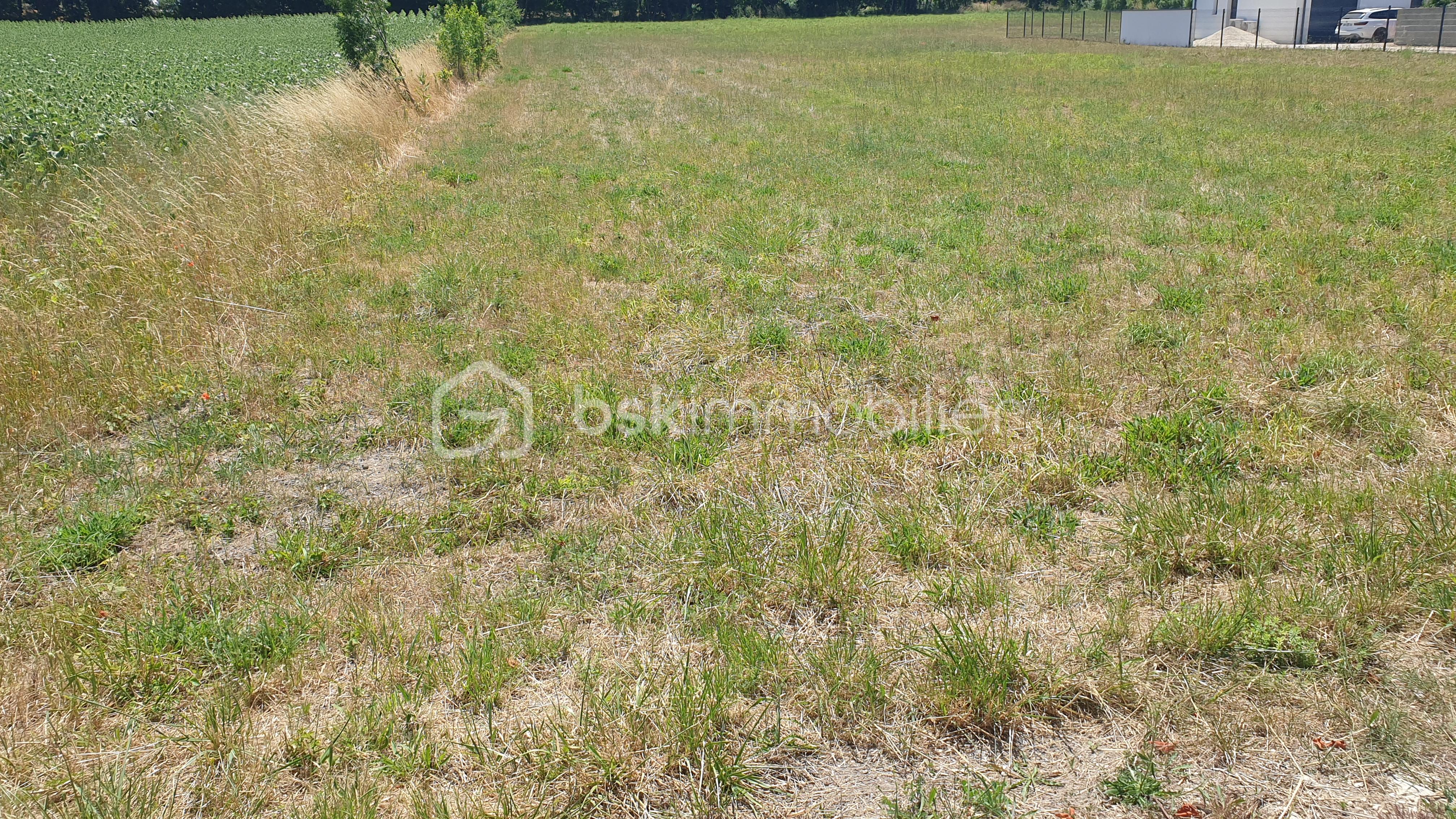 Lotissement de 5 685 m² - 20250623_145327.jpg