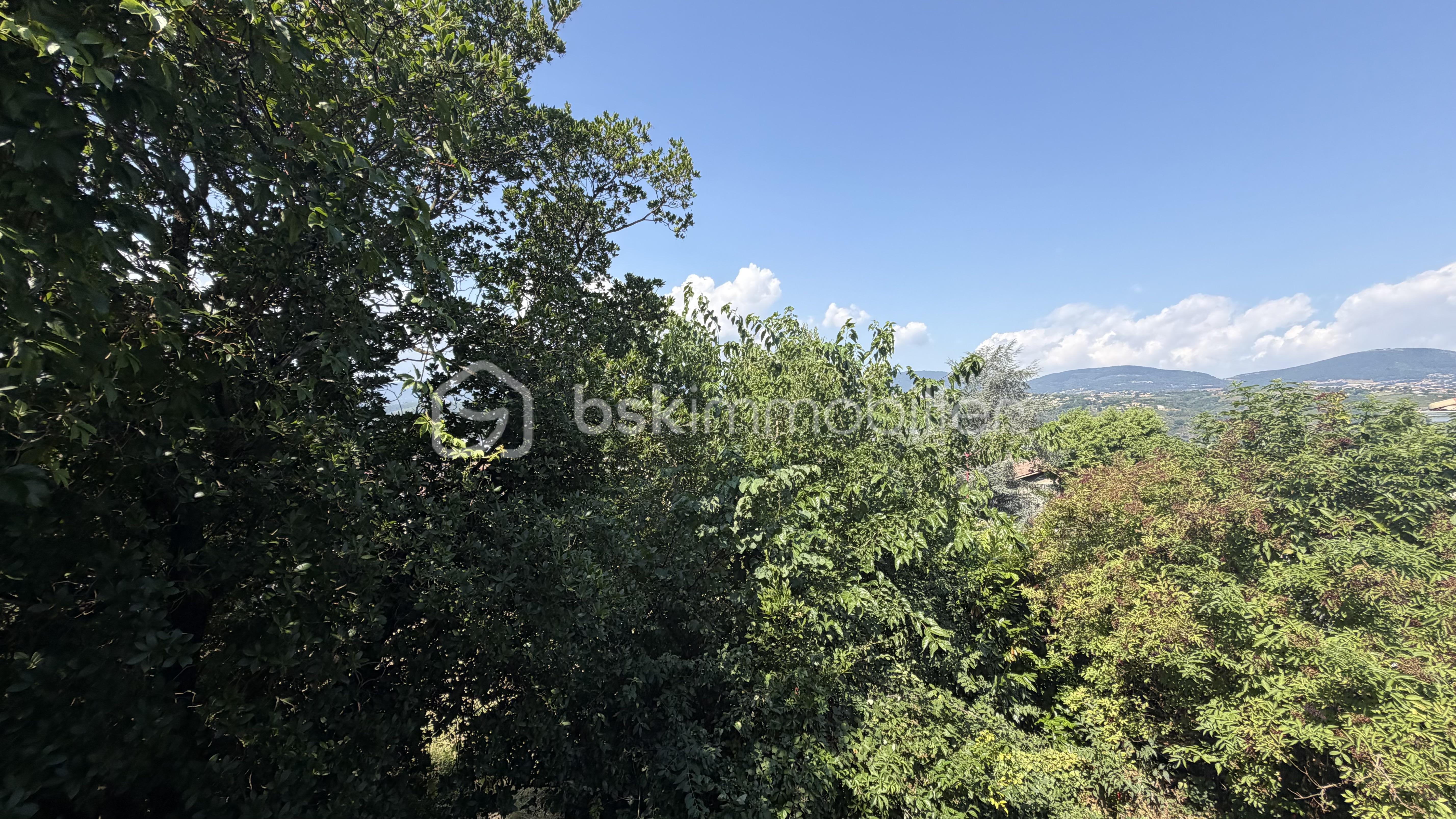 IMG_7902.jpeg
