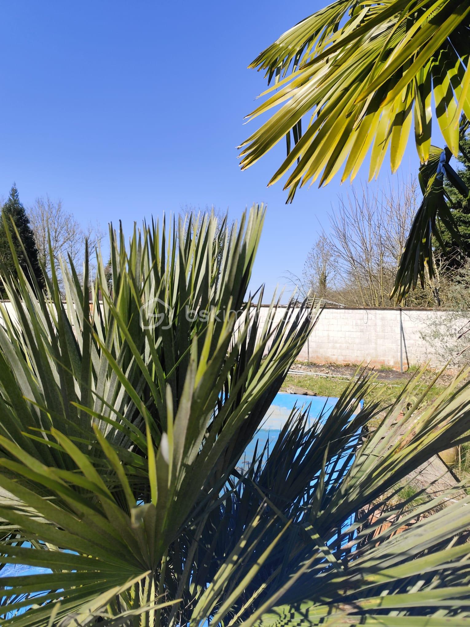 Maison traditionnelle de 110 m² - PHOTO-2025-09-29-18-49-44 2.jpg