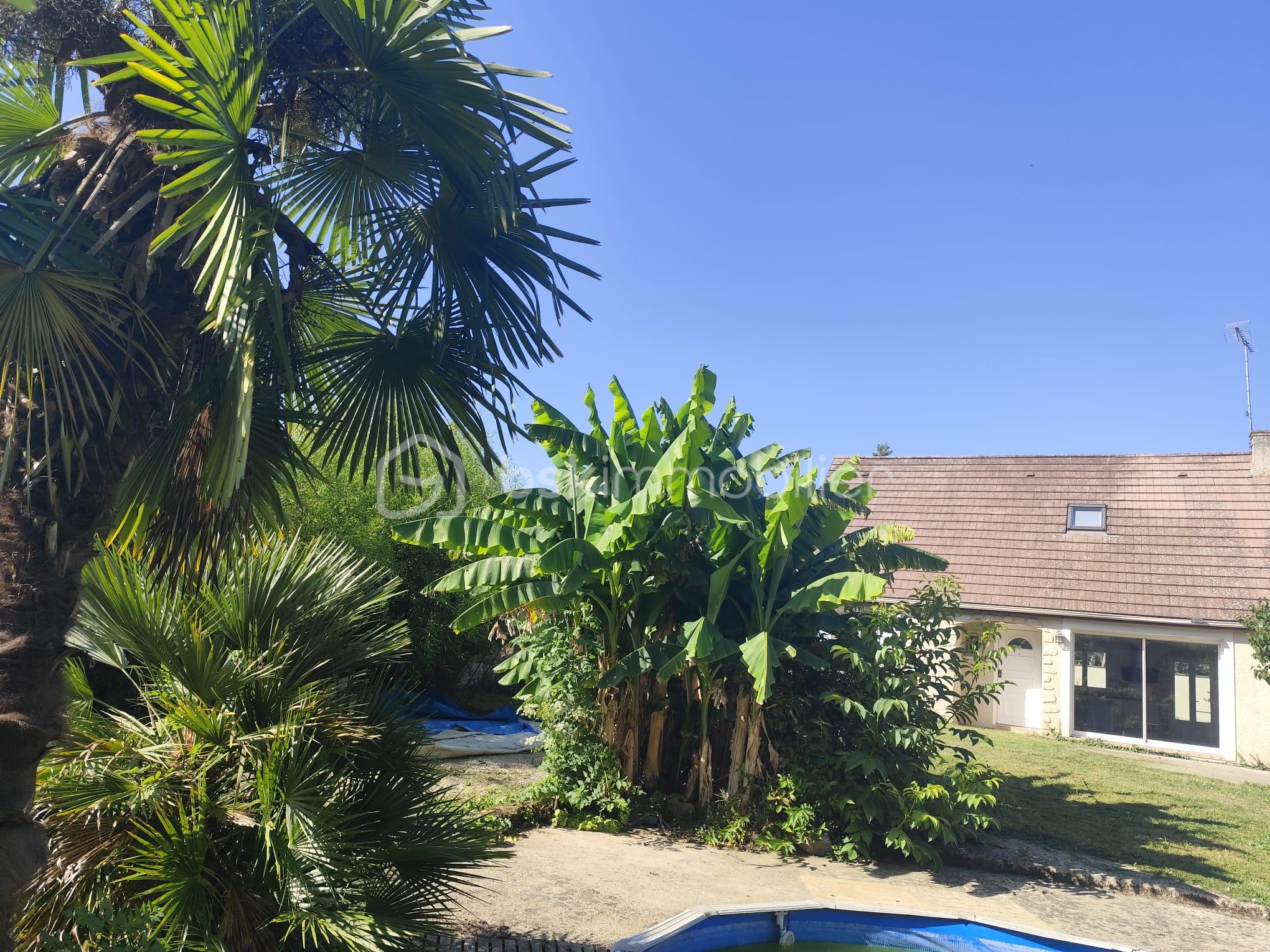 Maison traditionnelle de 110 m² - PHOTO-2025-09-29-18-49-41.jpg