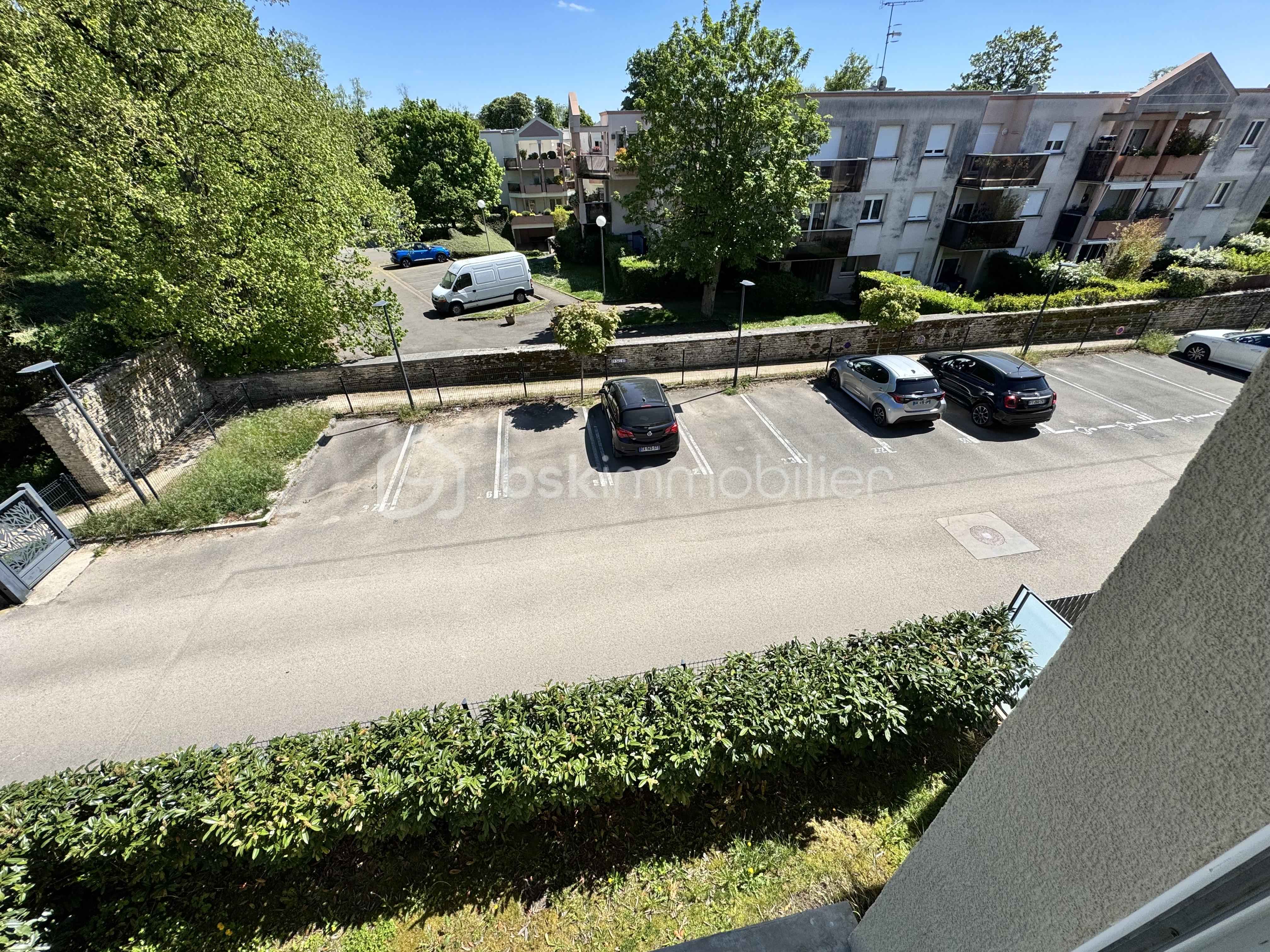 IMG_4705.jpeg