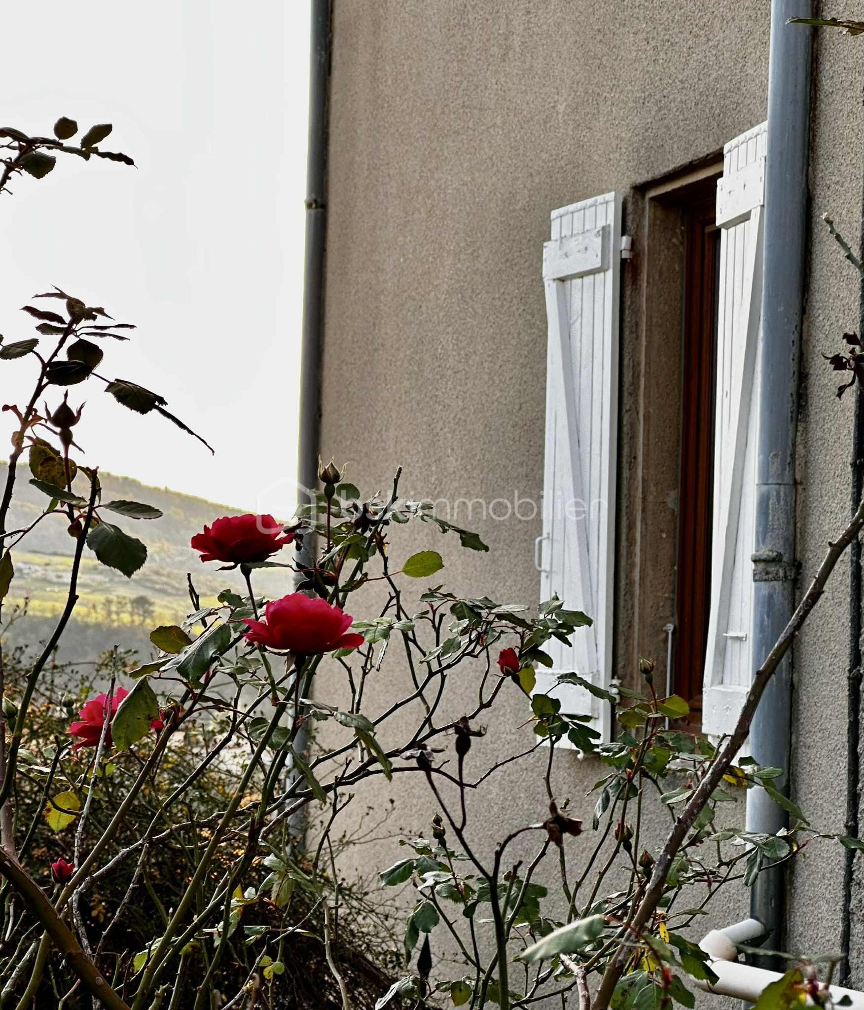 Maison ancienne de 290 m² - c3328950-65ae-4233-a137-13750cdba604.jpeg