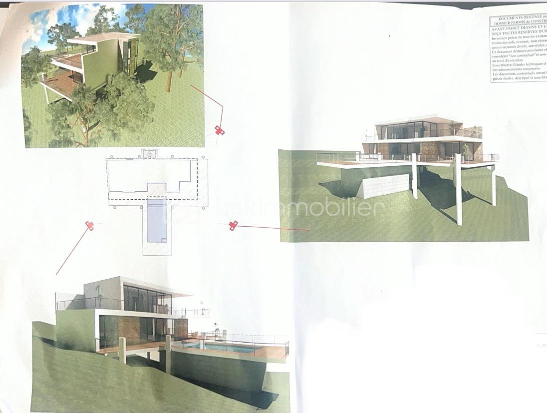 IMG_8606 Grande.jpeg