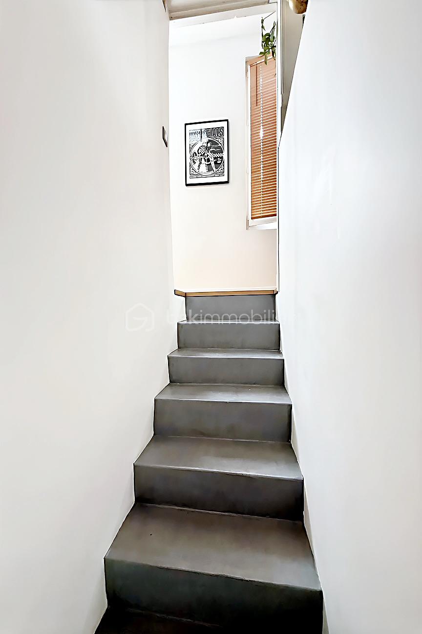 hoqi-photo 23.jpg