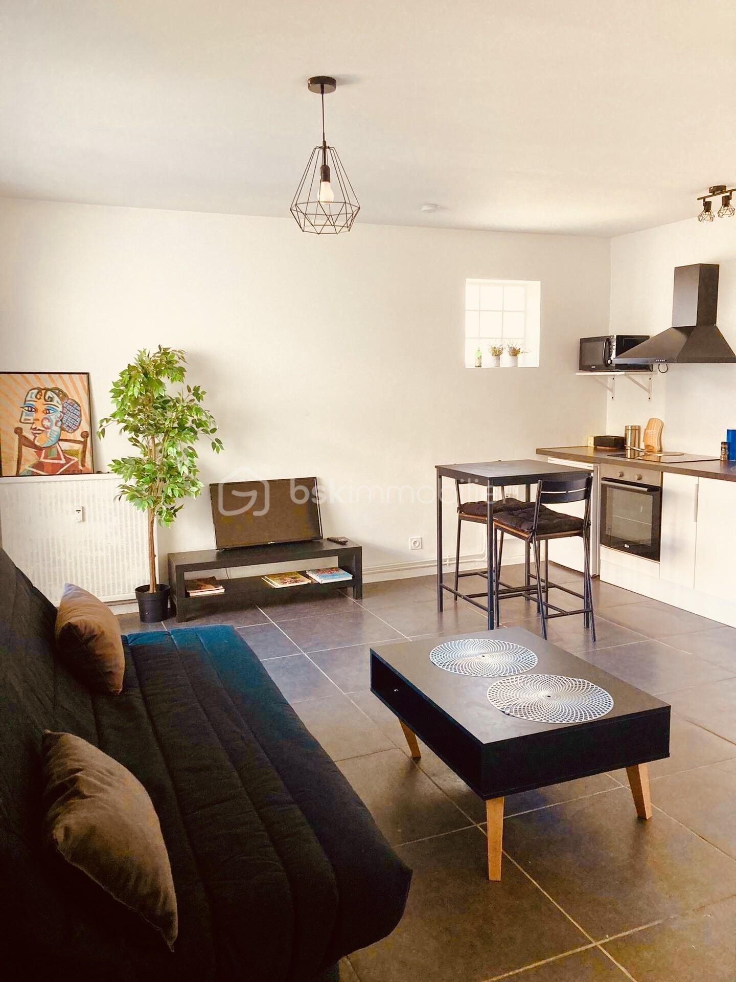 Appartement de 33,78 m² - SEJOUR.jpg